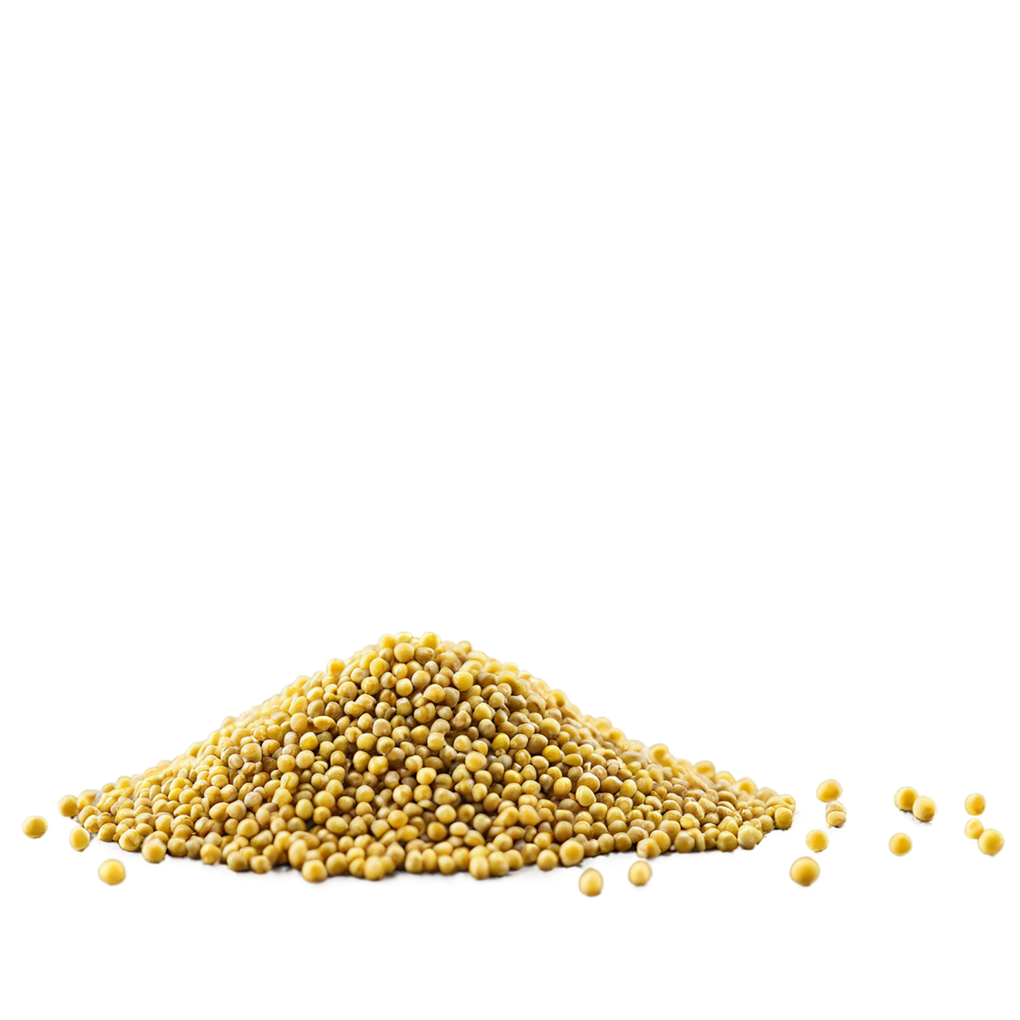 Mustard seeds spices isolated on transparent background #9840