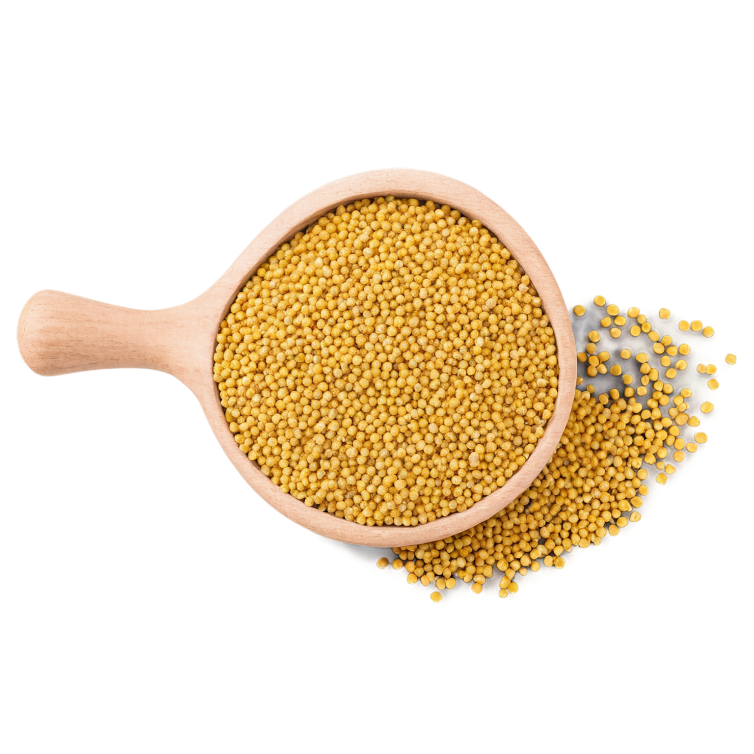 Mustard seeds spices isolated on transparent background #9841