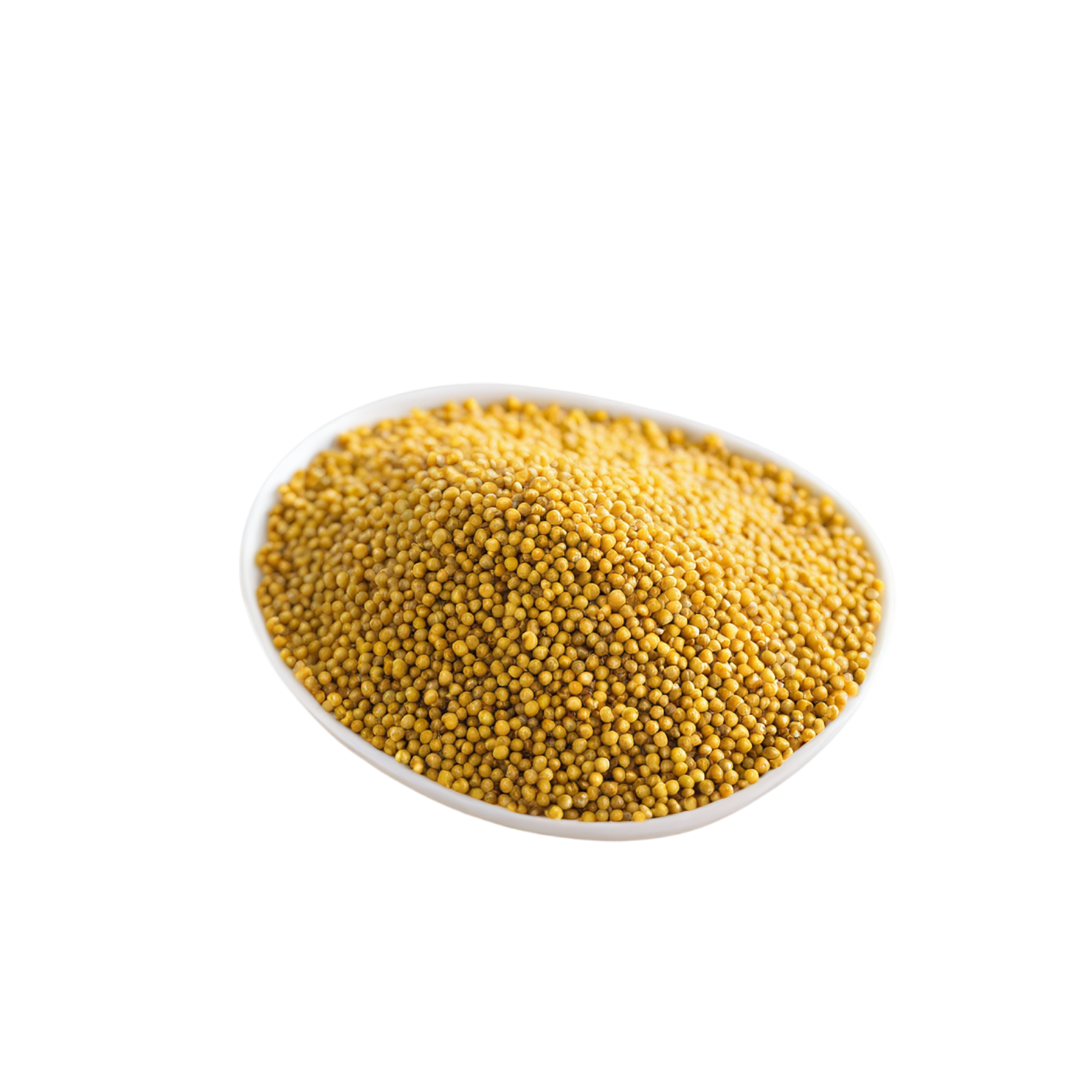 Mustard seeds spices isolated on transparent background #9842