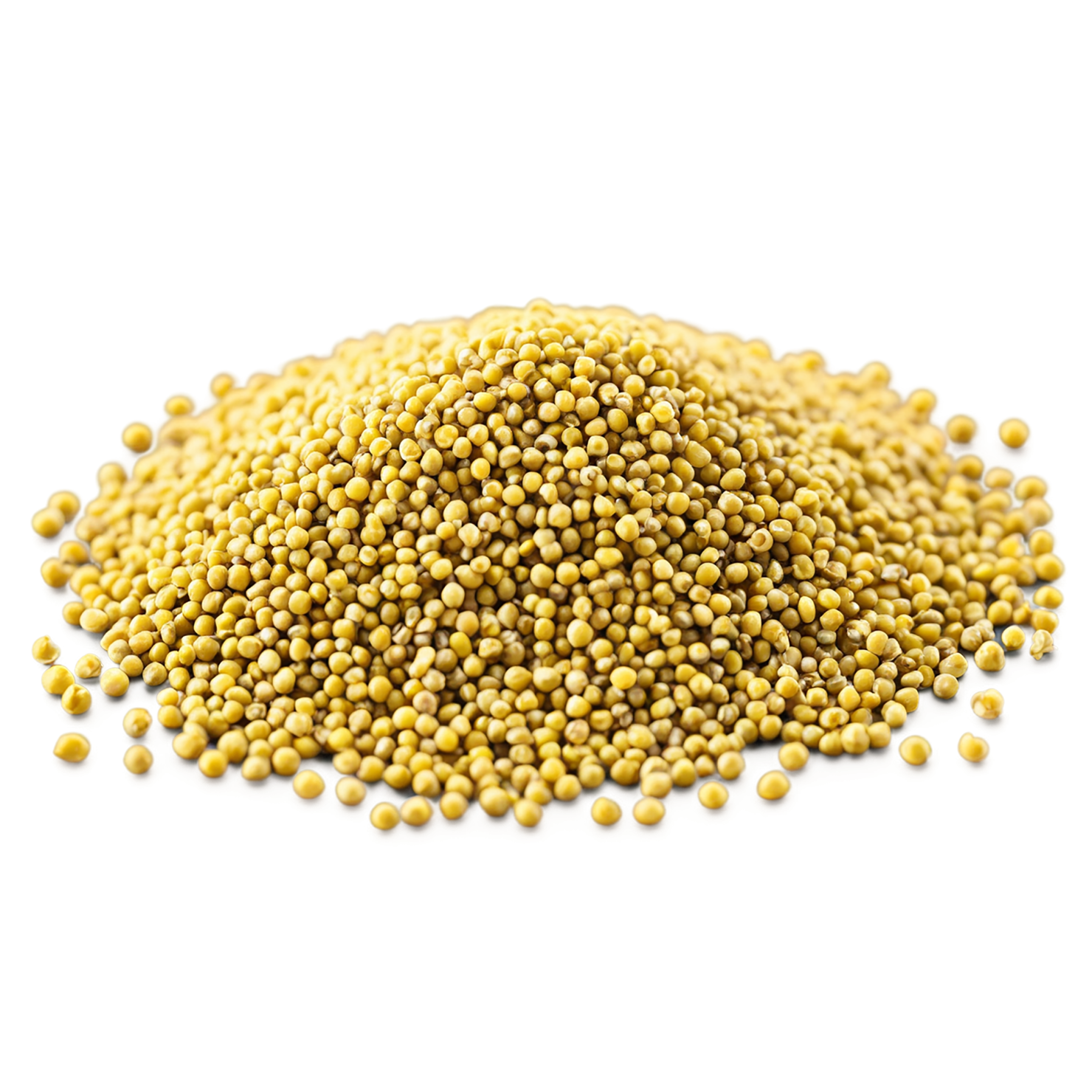 Mustard seeds spices isolated on transparent background #9845