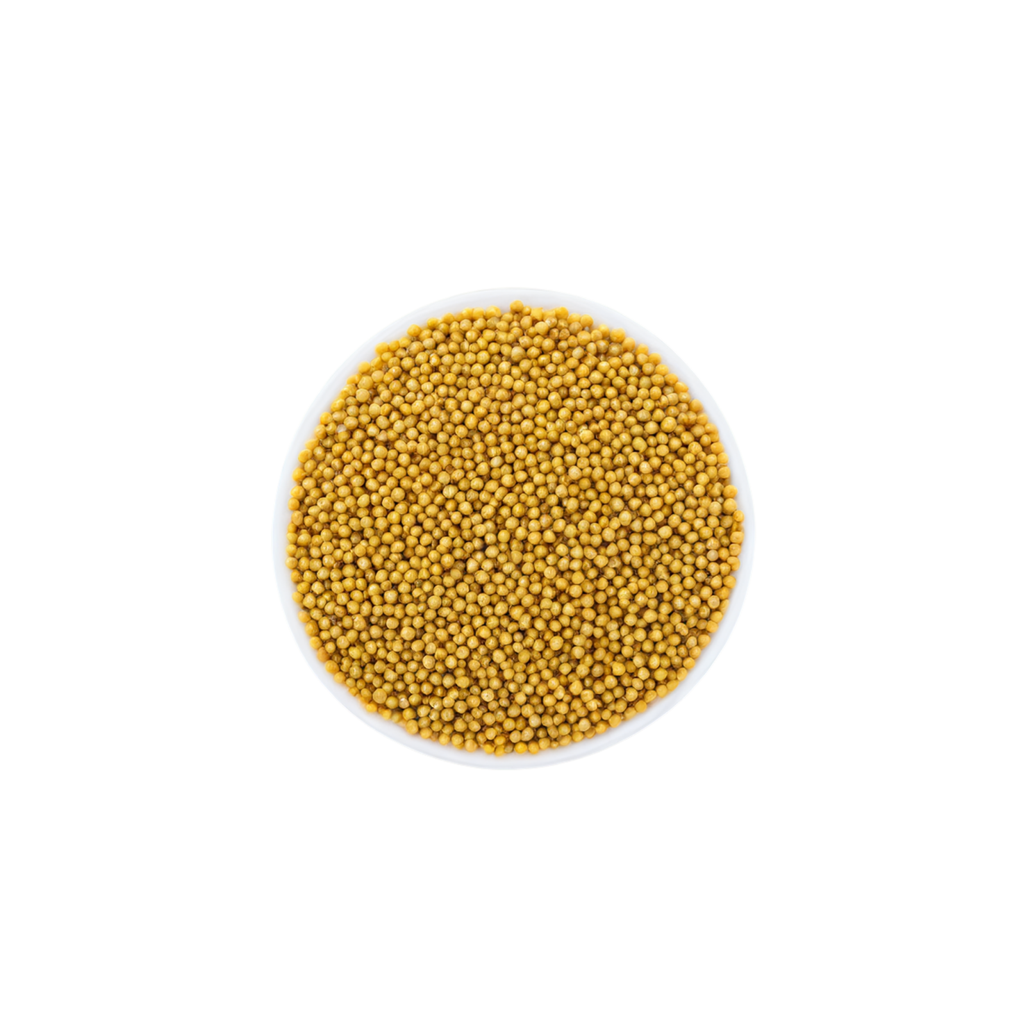 Mustard seeds spices isolated on transparent background #9846