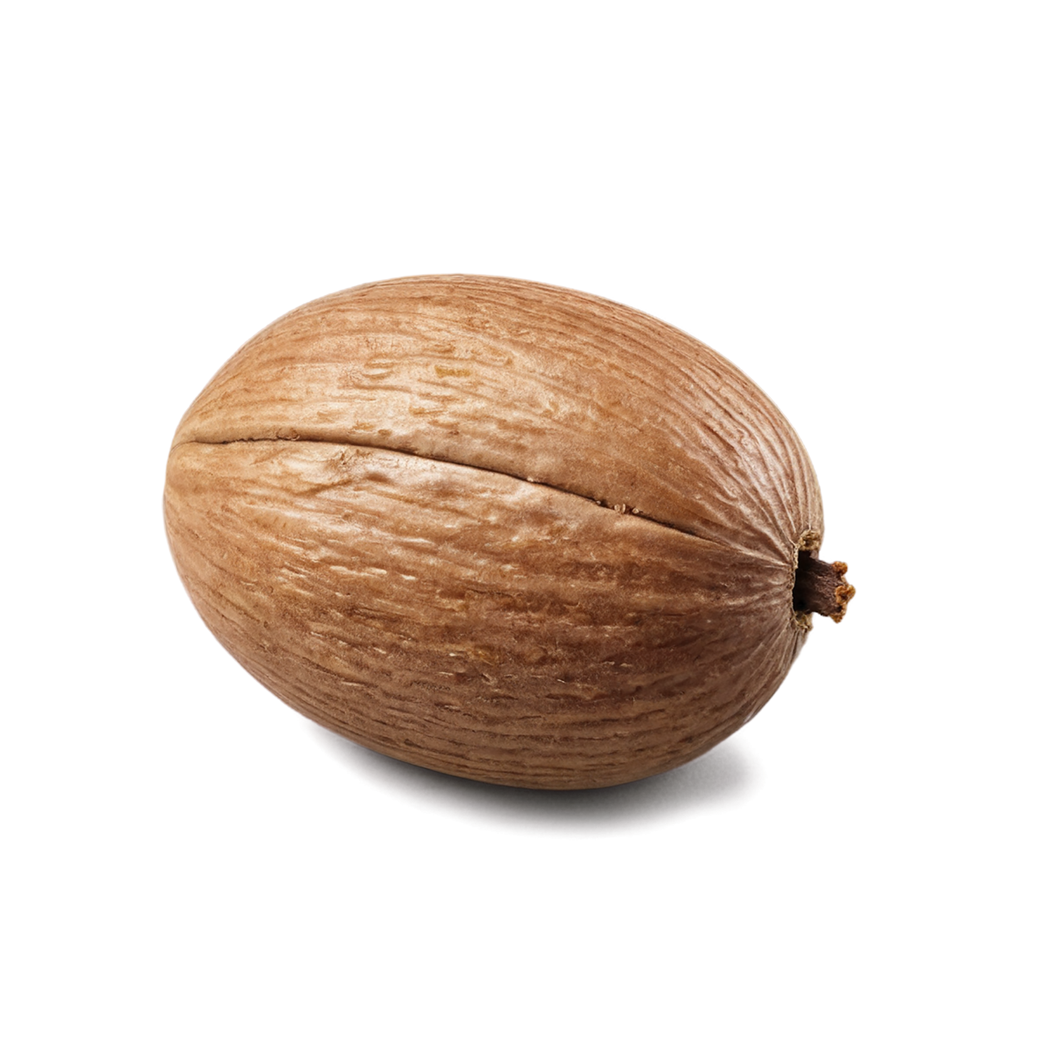 Nutmeg spices isolated on transparent background #9851