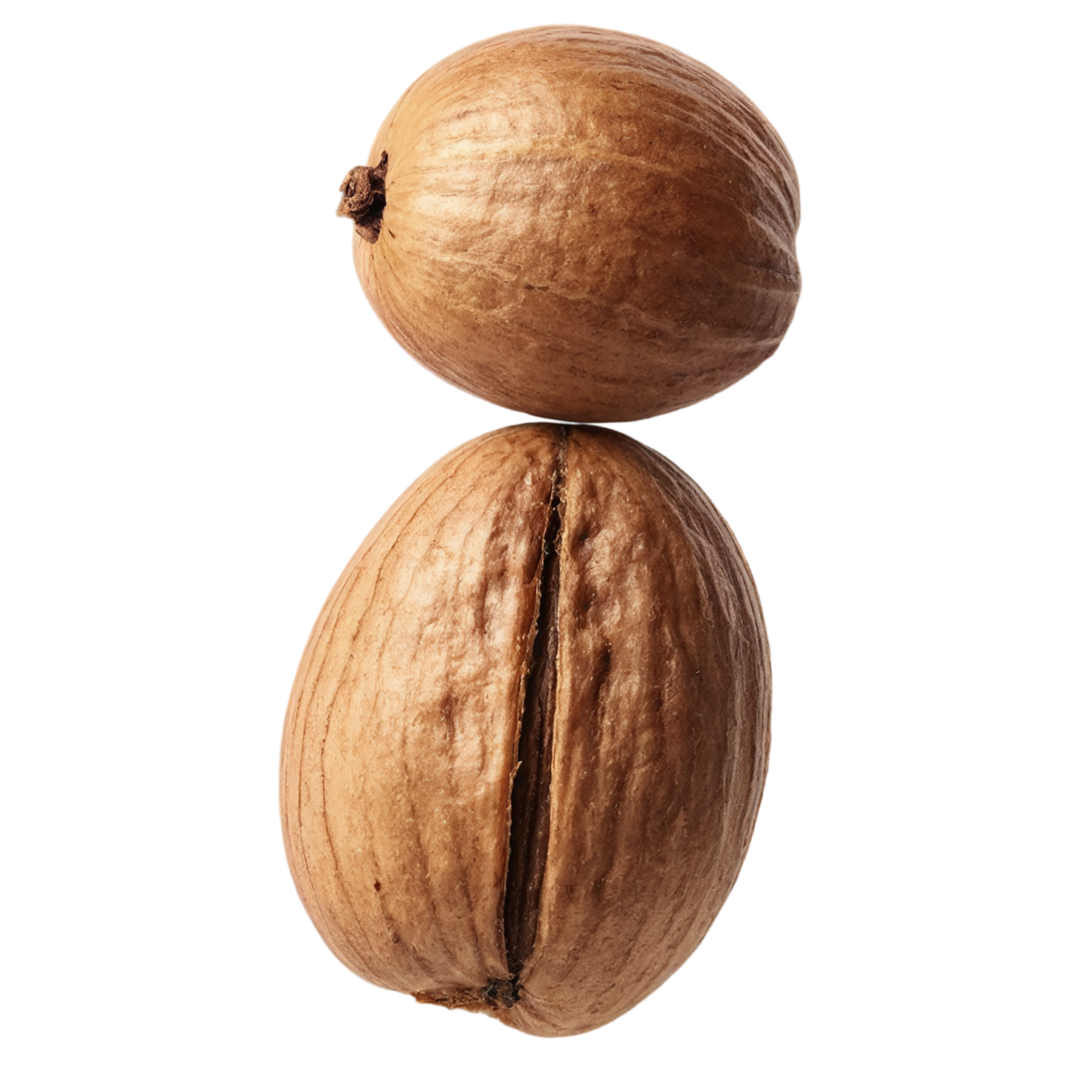 Nutmeg spices isolated on transparent background #9852