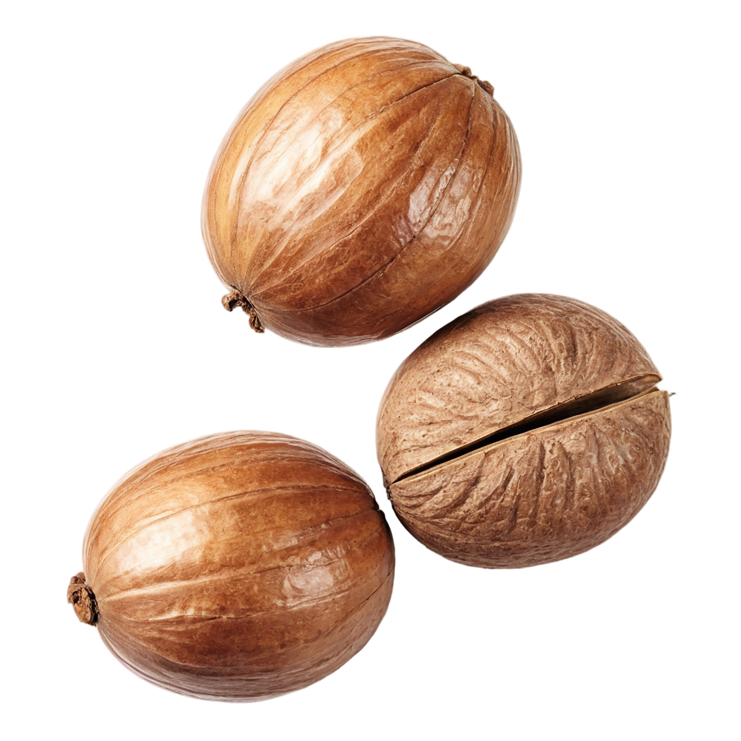 Nutmeg spices isolated on transparent background #9863