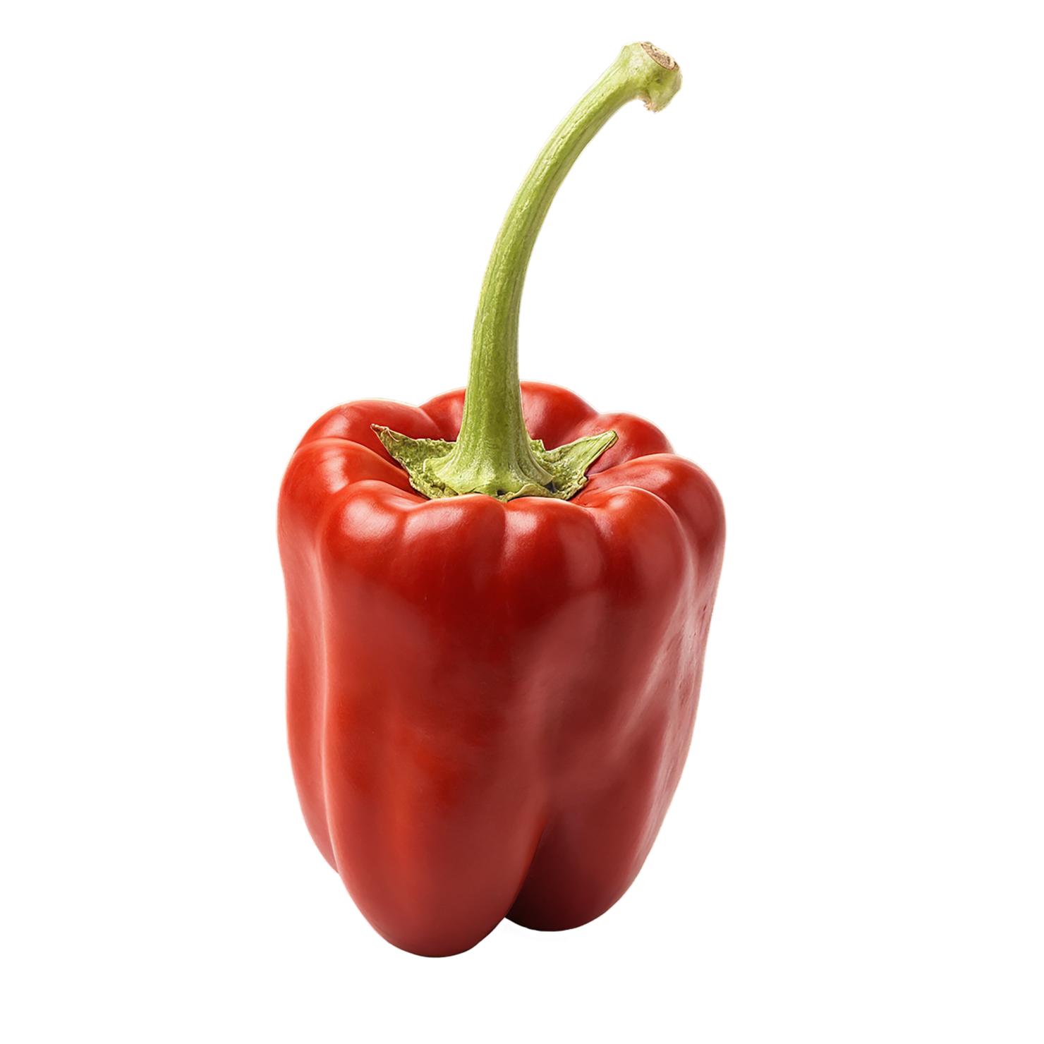 Paprika spices isolated on transparent background #9881
