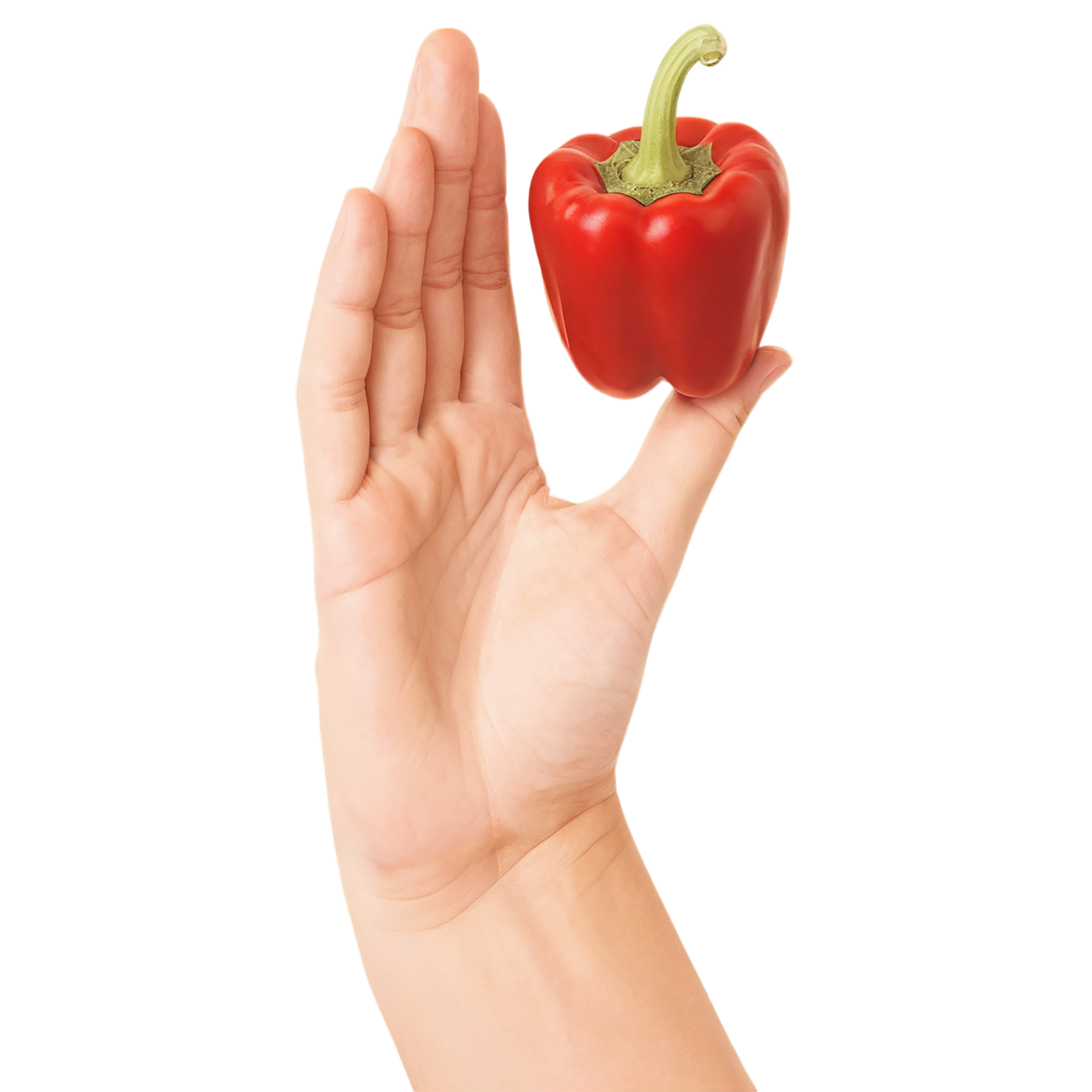Paprika spices isolated on transparent background #9892
