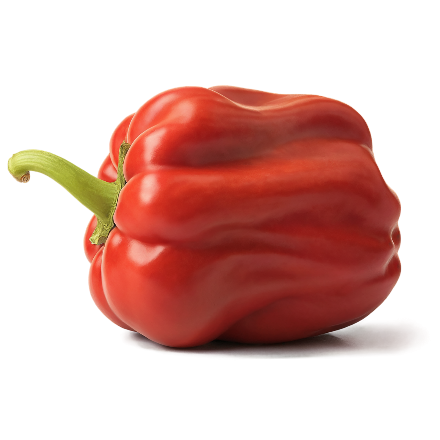 Paprika spices isolated on transparent background #9898