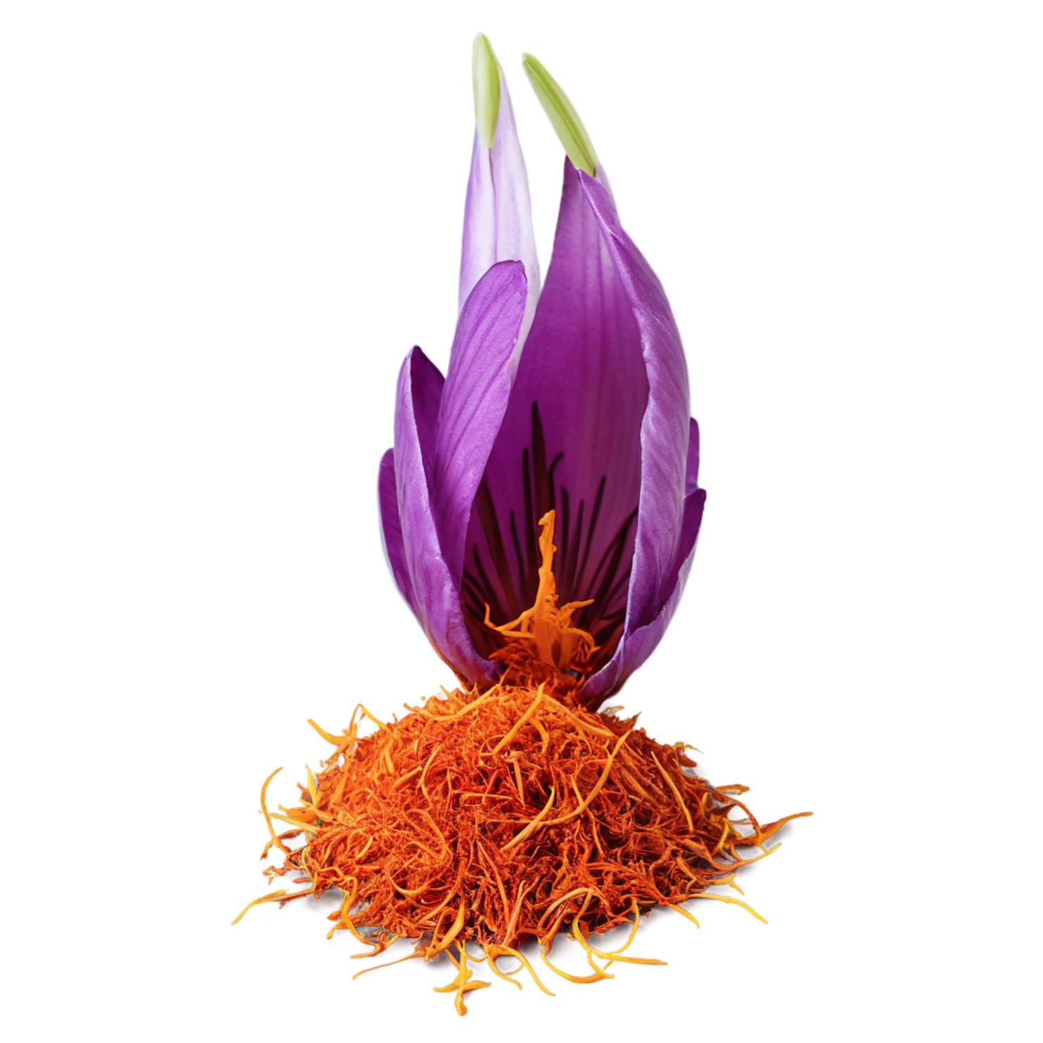 Saffron spices isolated on transparent background #9906