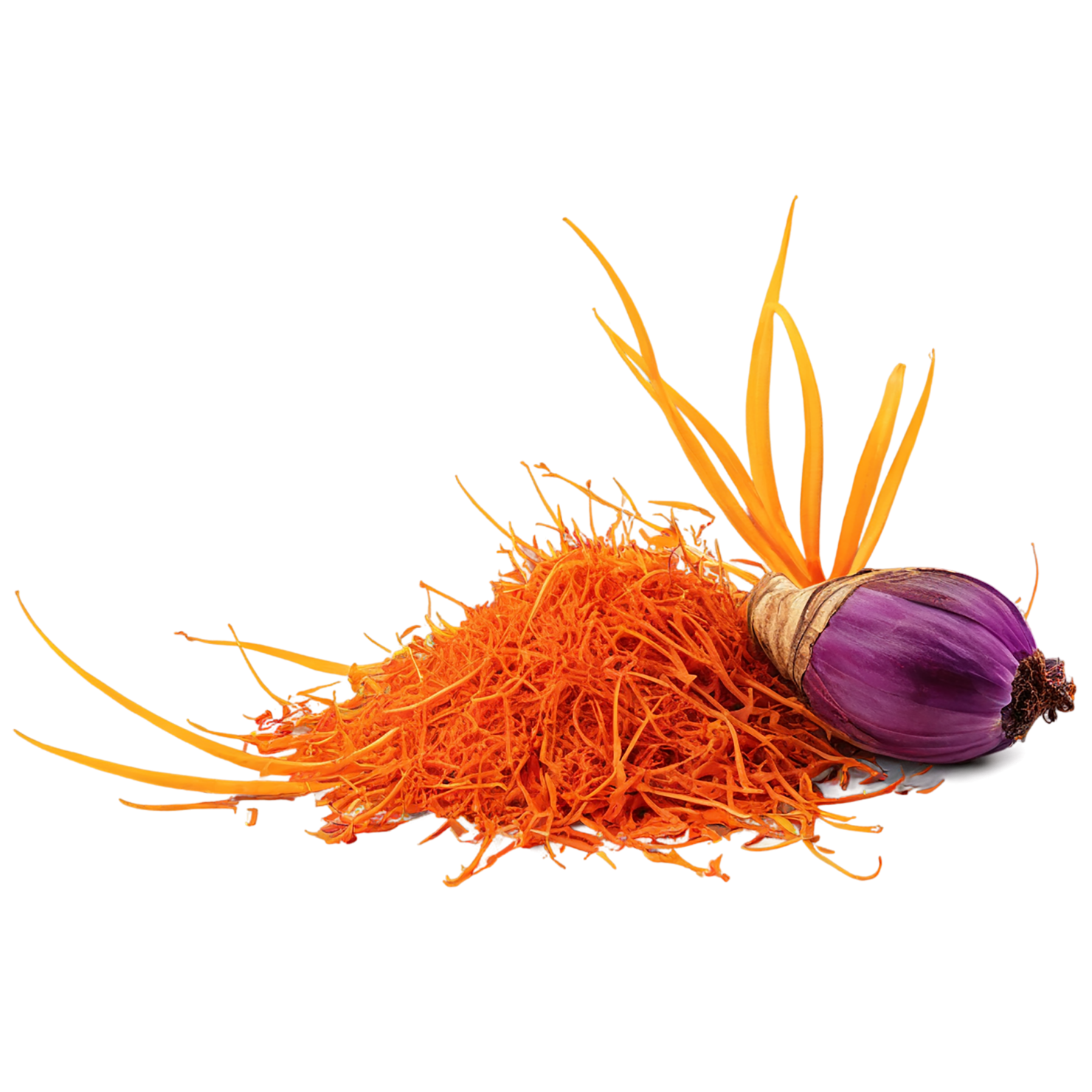 Saffron spices isolated on transparent background #9919