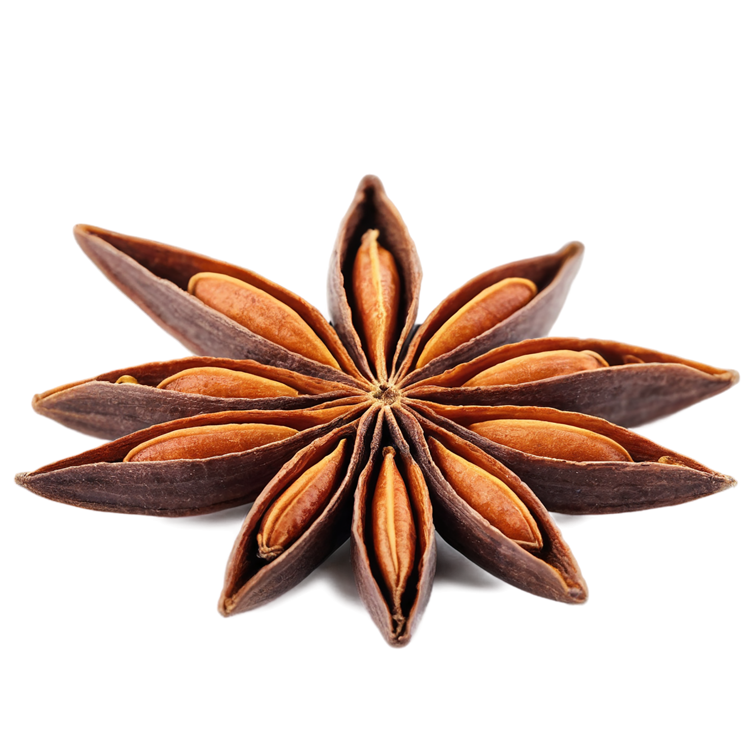 Star anise spices isolated on transparent background #9931