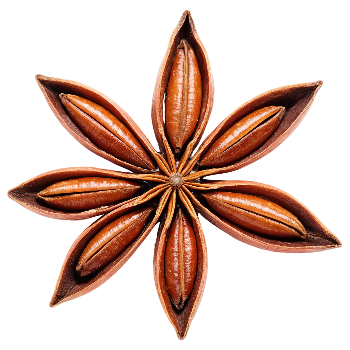 Star anise spices isolated on transparent background #9932