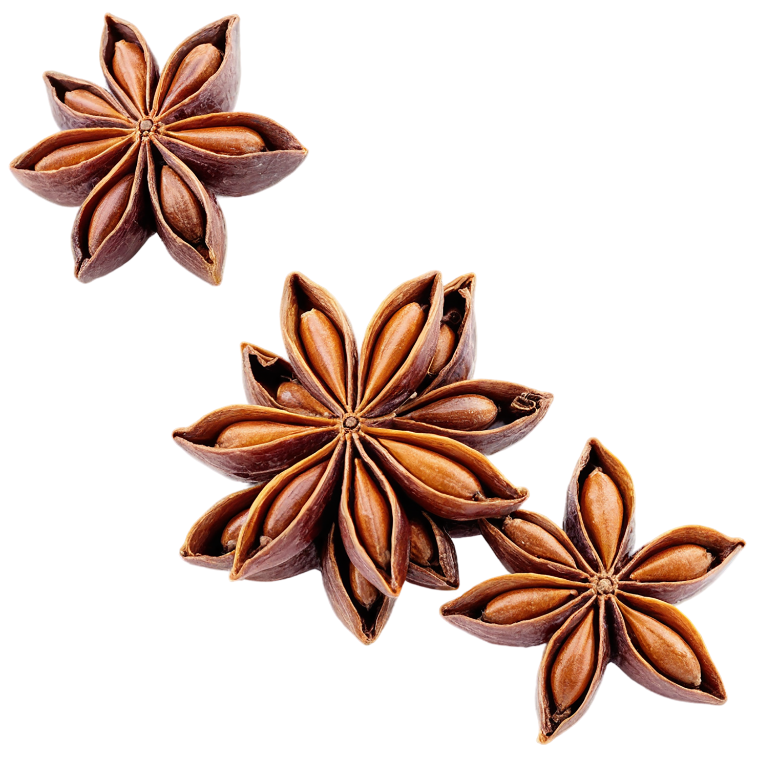 Star anise spices isolated on transparent background #9933