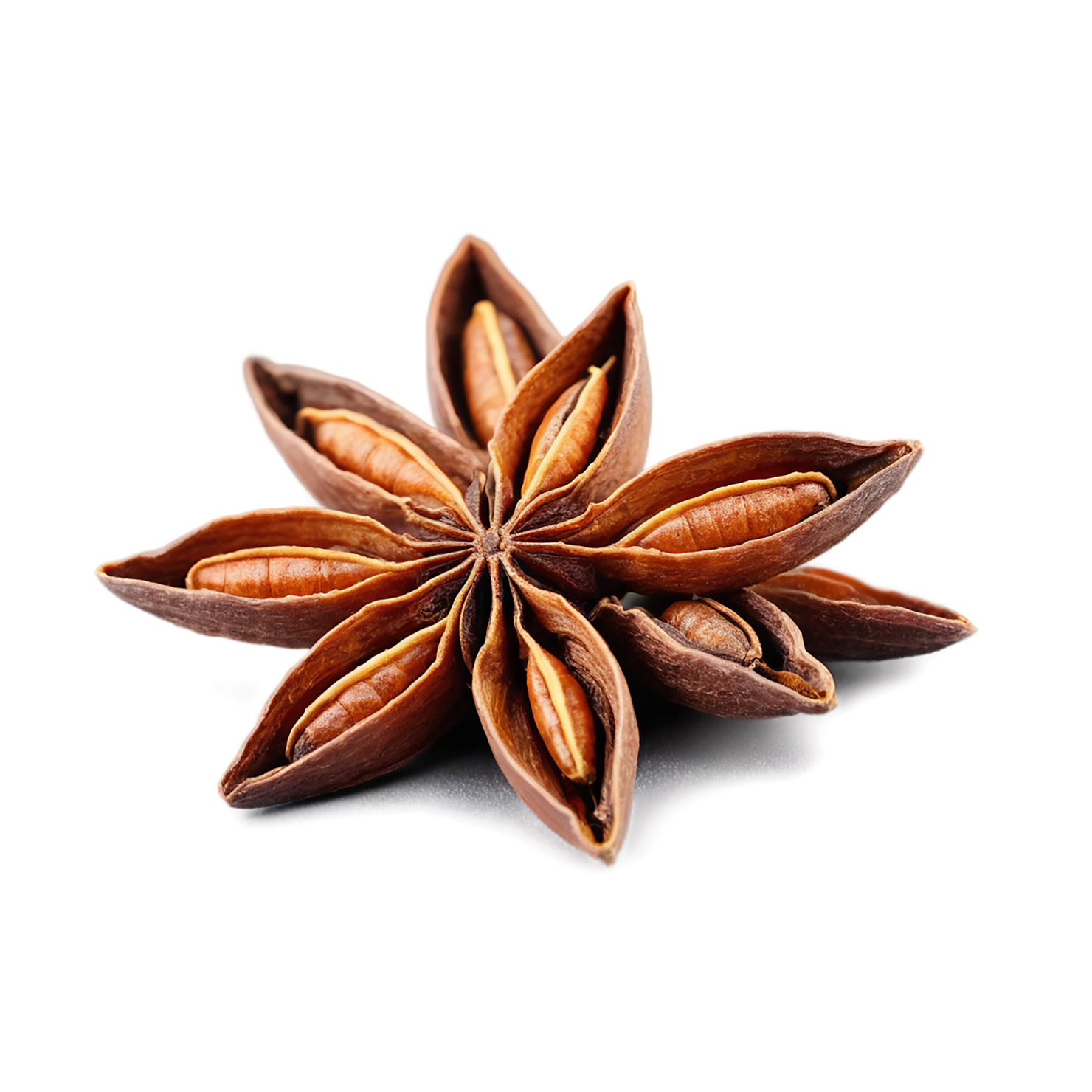 Star anise spices isolated on transparent background #9934