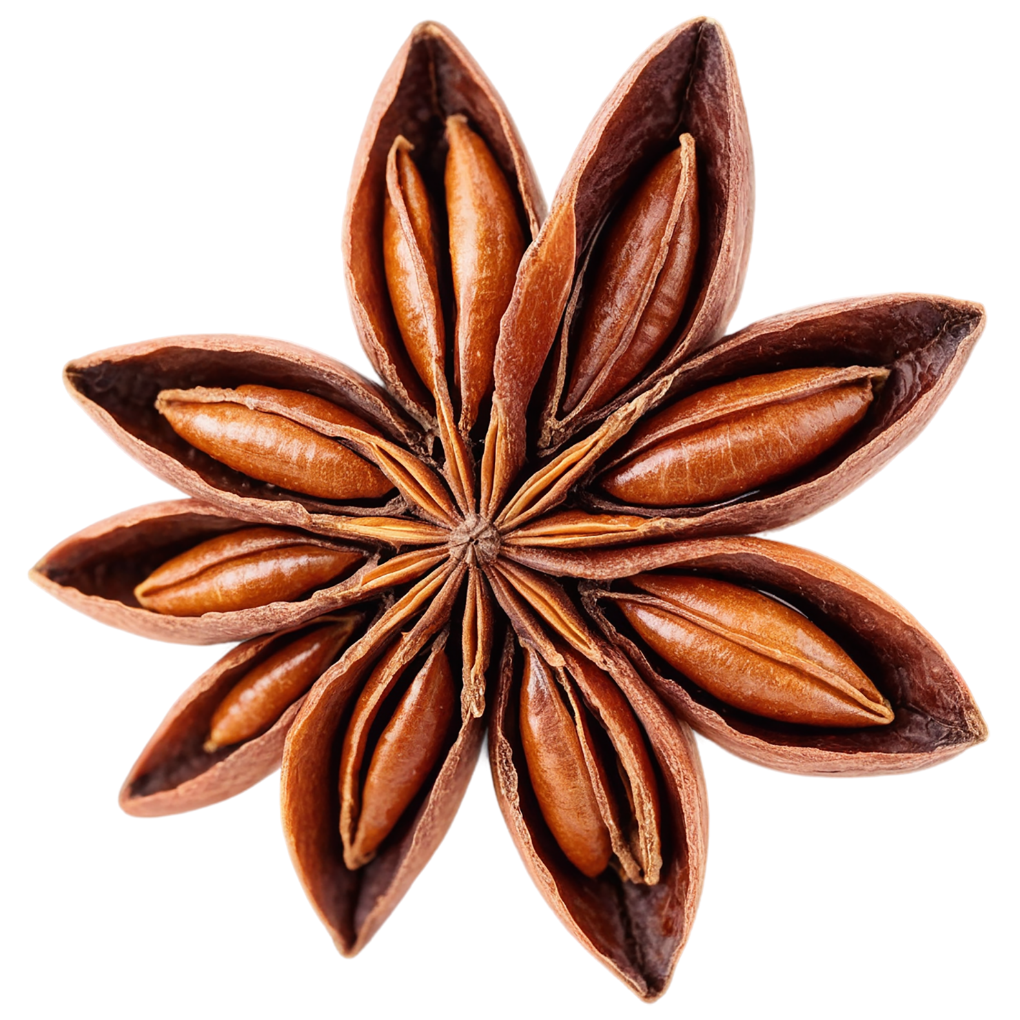 Star anise spices isolated on transparent background #9937
