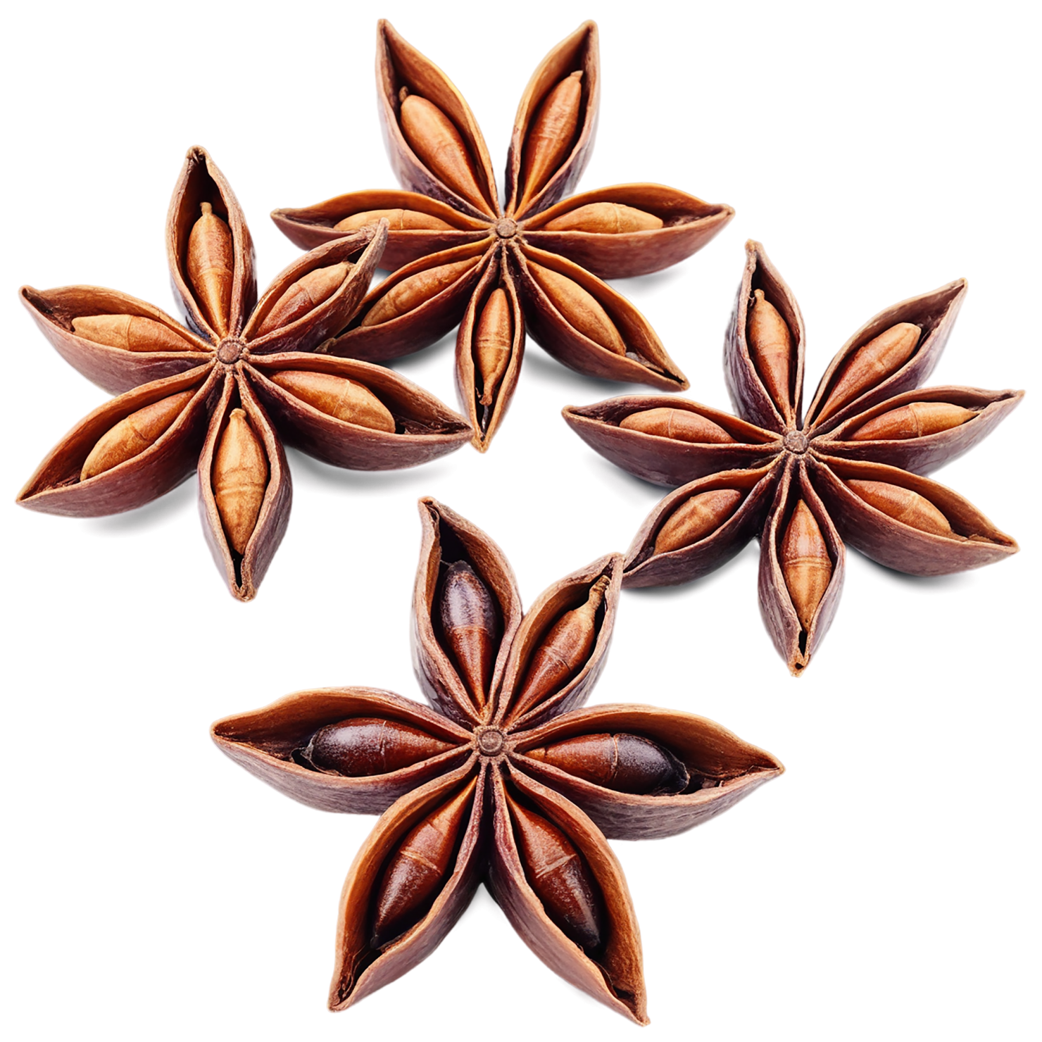Star anise spices isolated on transparent background #9938