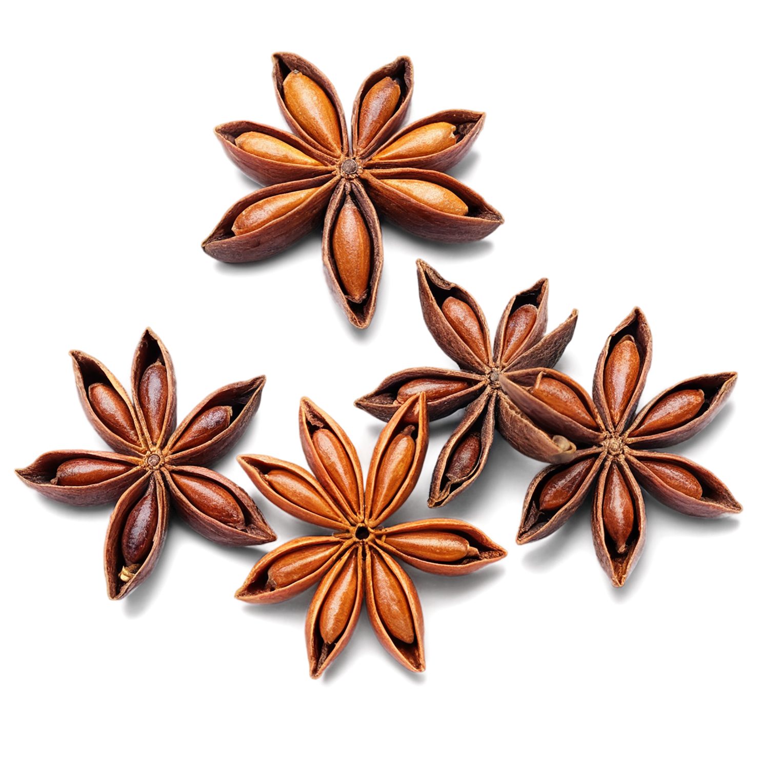 Star anise spices isolated on transparent background #9940