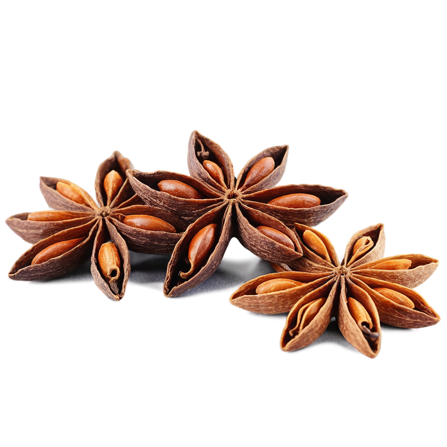 Star anise spices isolated on transparent background #9941