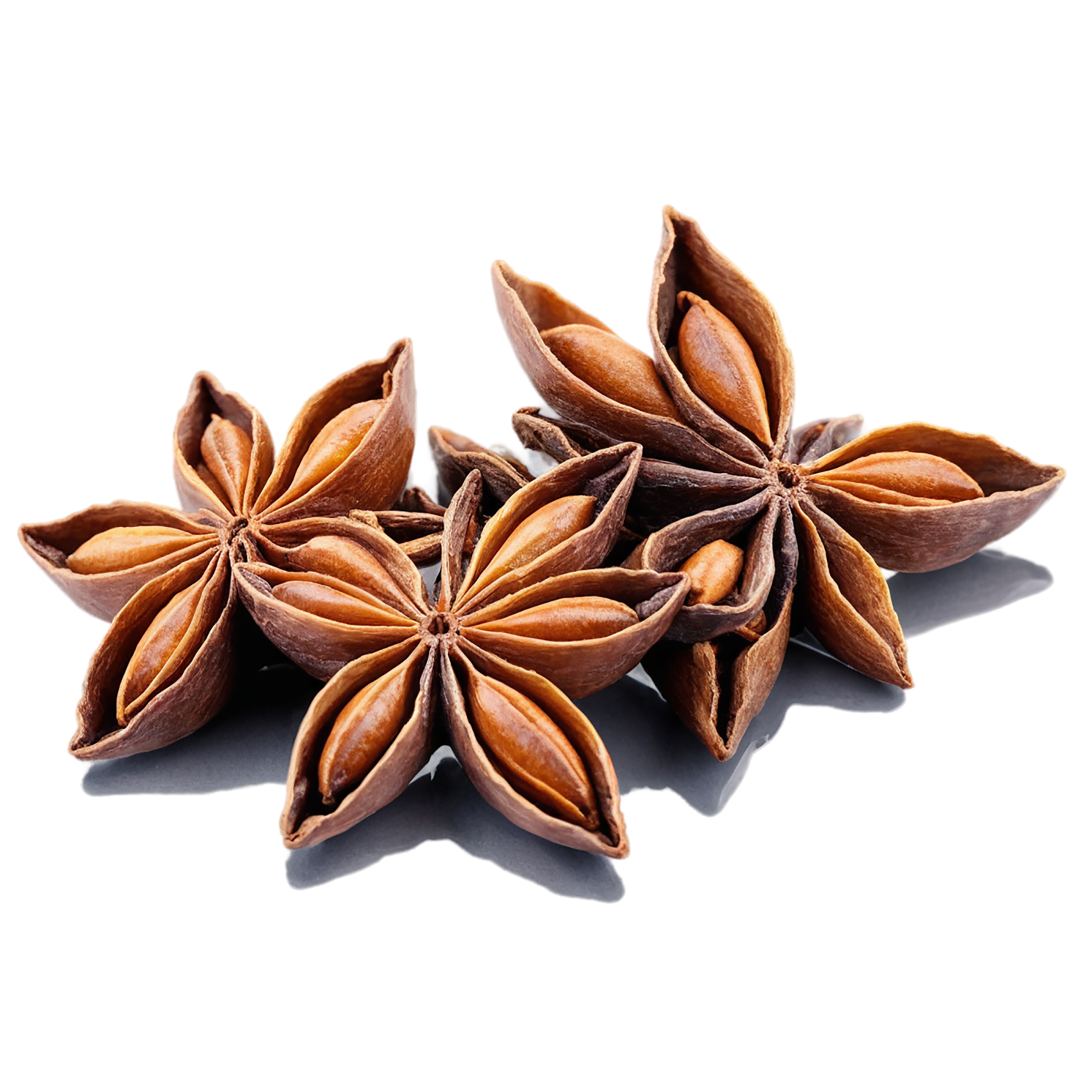 Star anise spices isolated on transparent background #9953