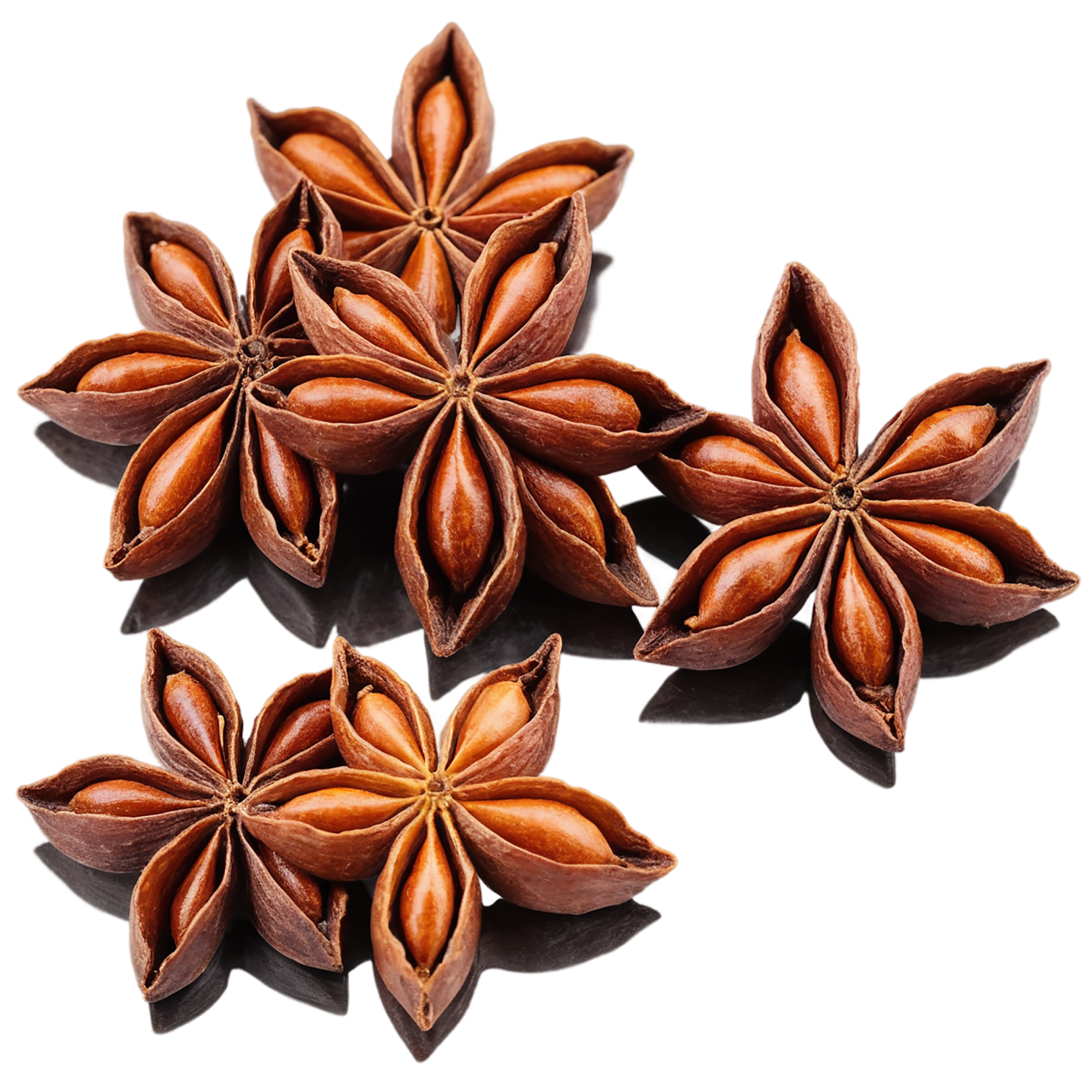 Star anise spices isolated on transparent background #9956