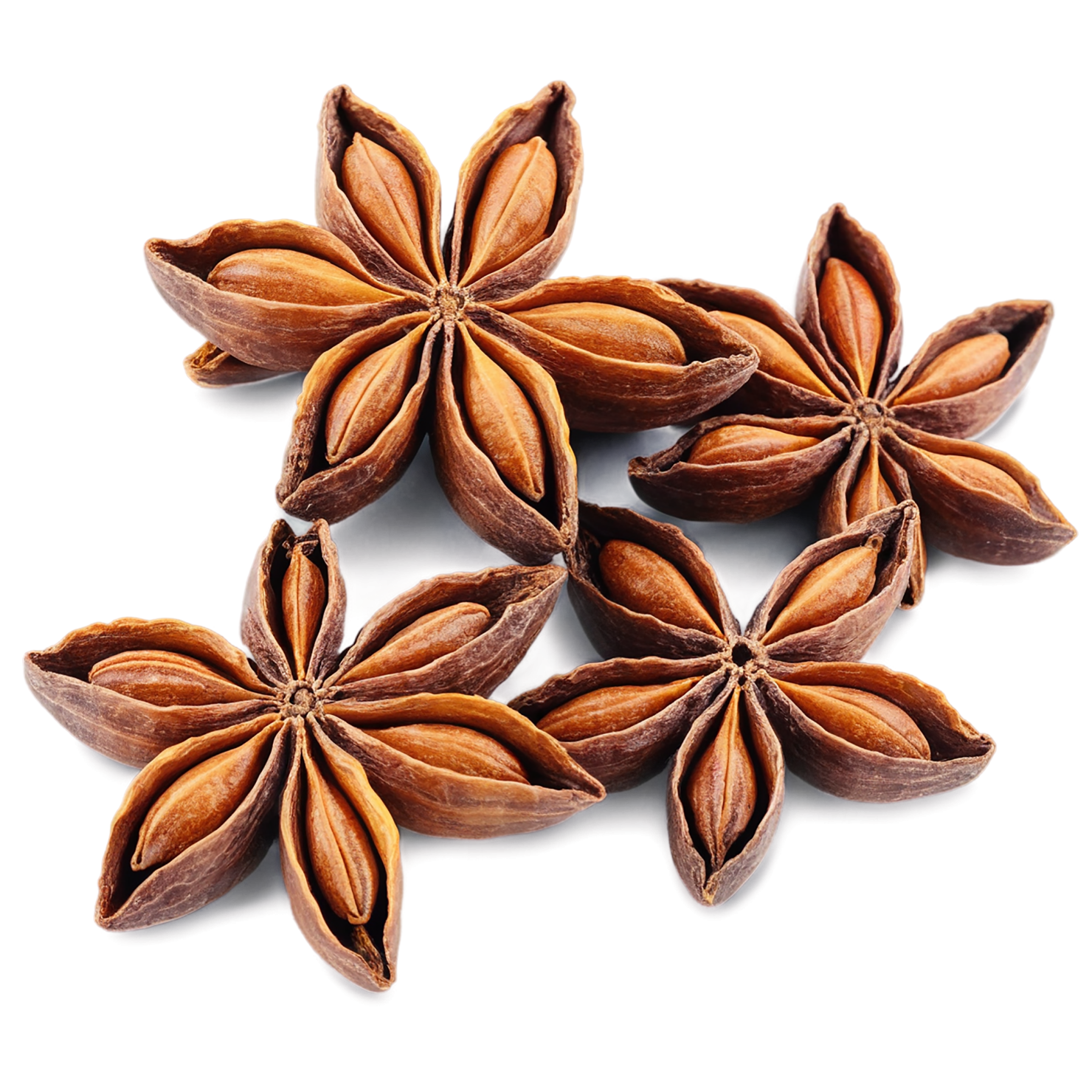 Star anise spices isolated on transparent background #9957