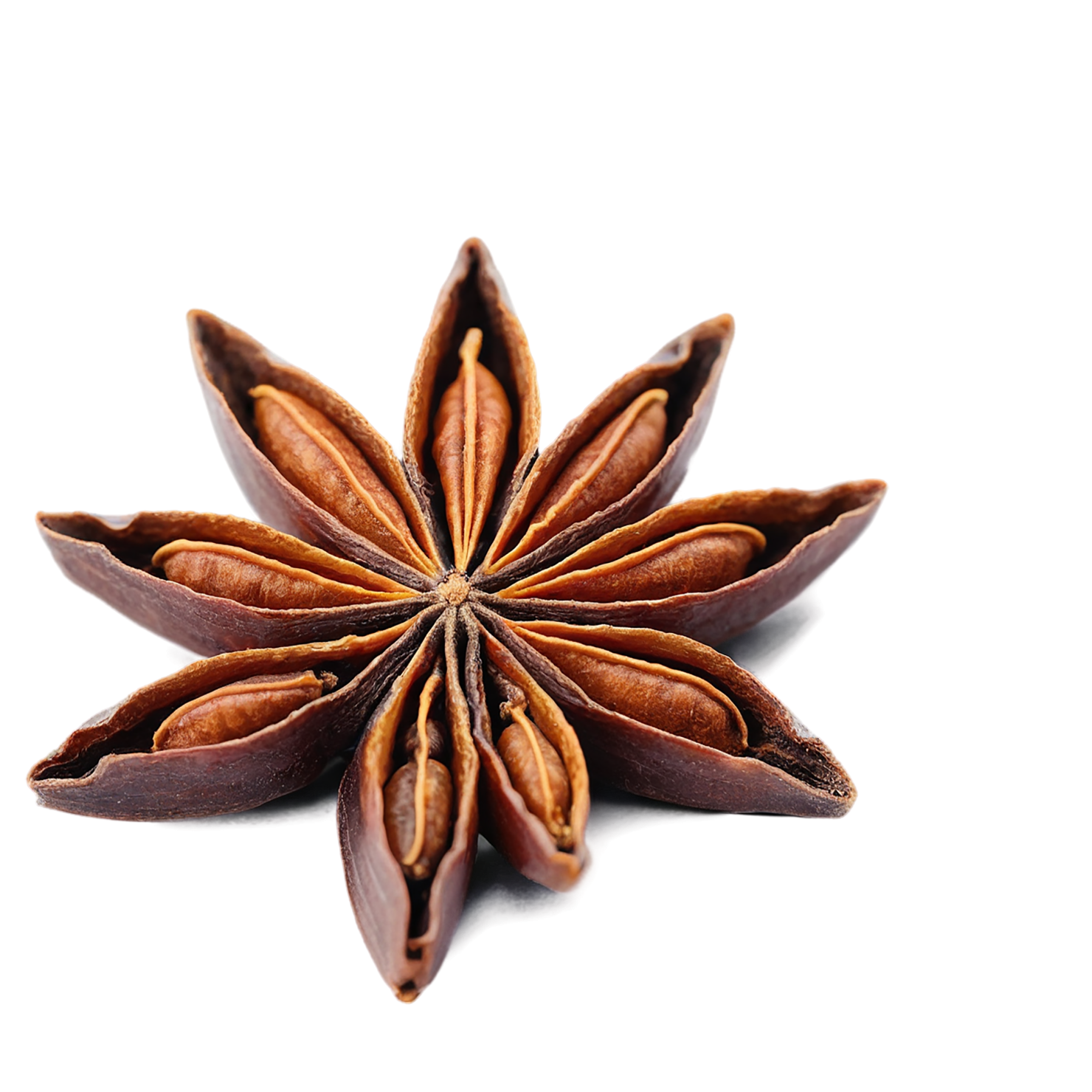 Star anise spices isolated on transparent background #9958