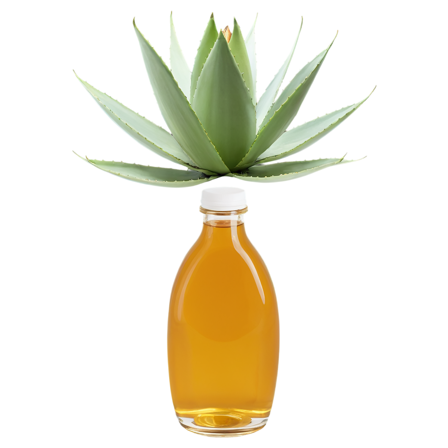 Agave nectar sweeteners isolated on transparent background #9989