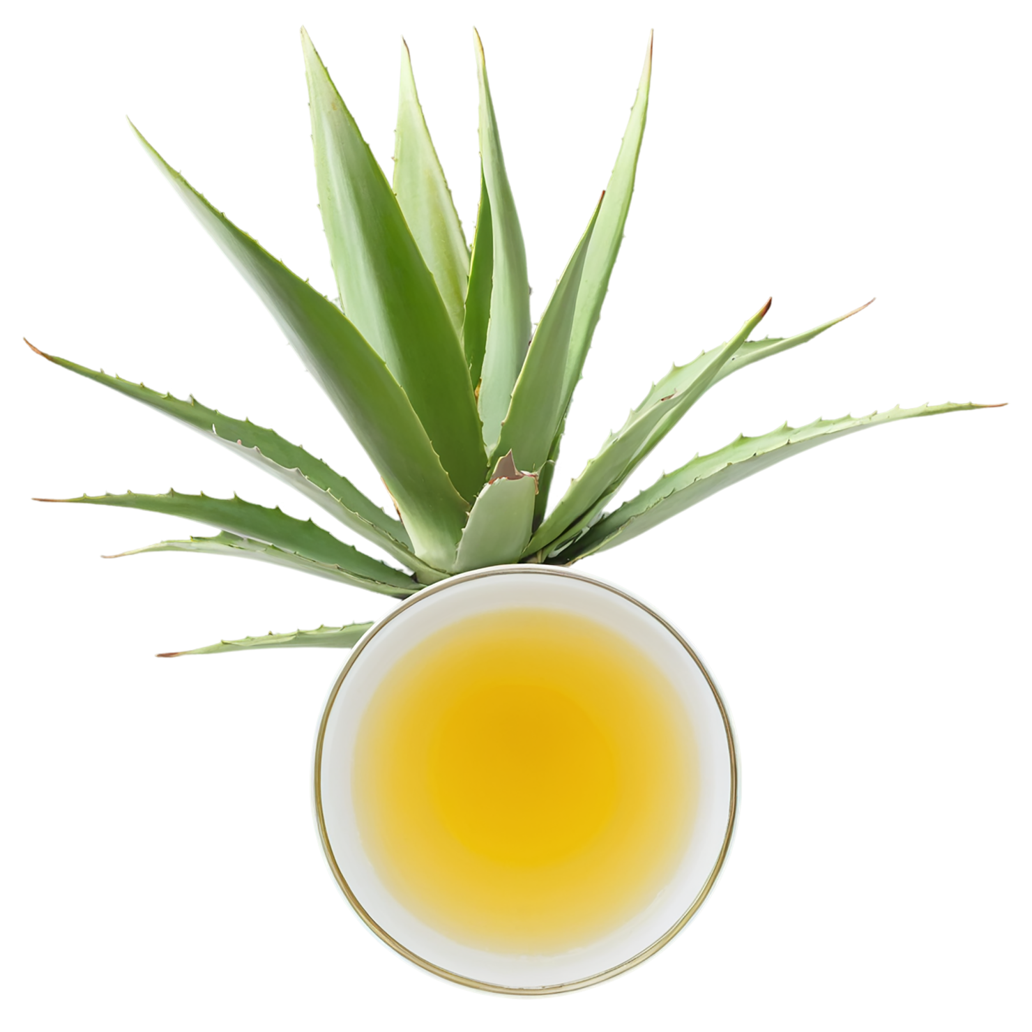 Agave nectar sweeteners isolated on transparent background #10003
