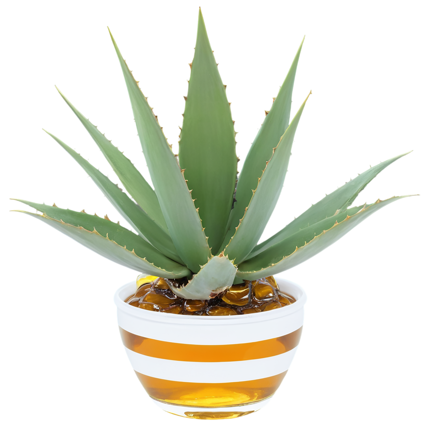 Agave nectar sweeteners isolated on transparent background #10004