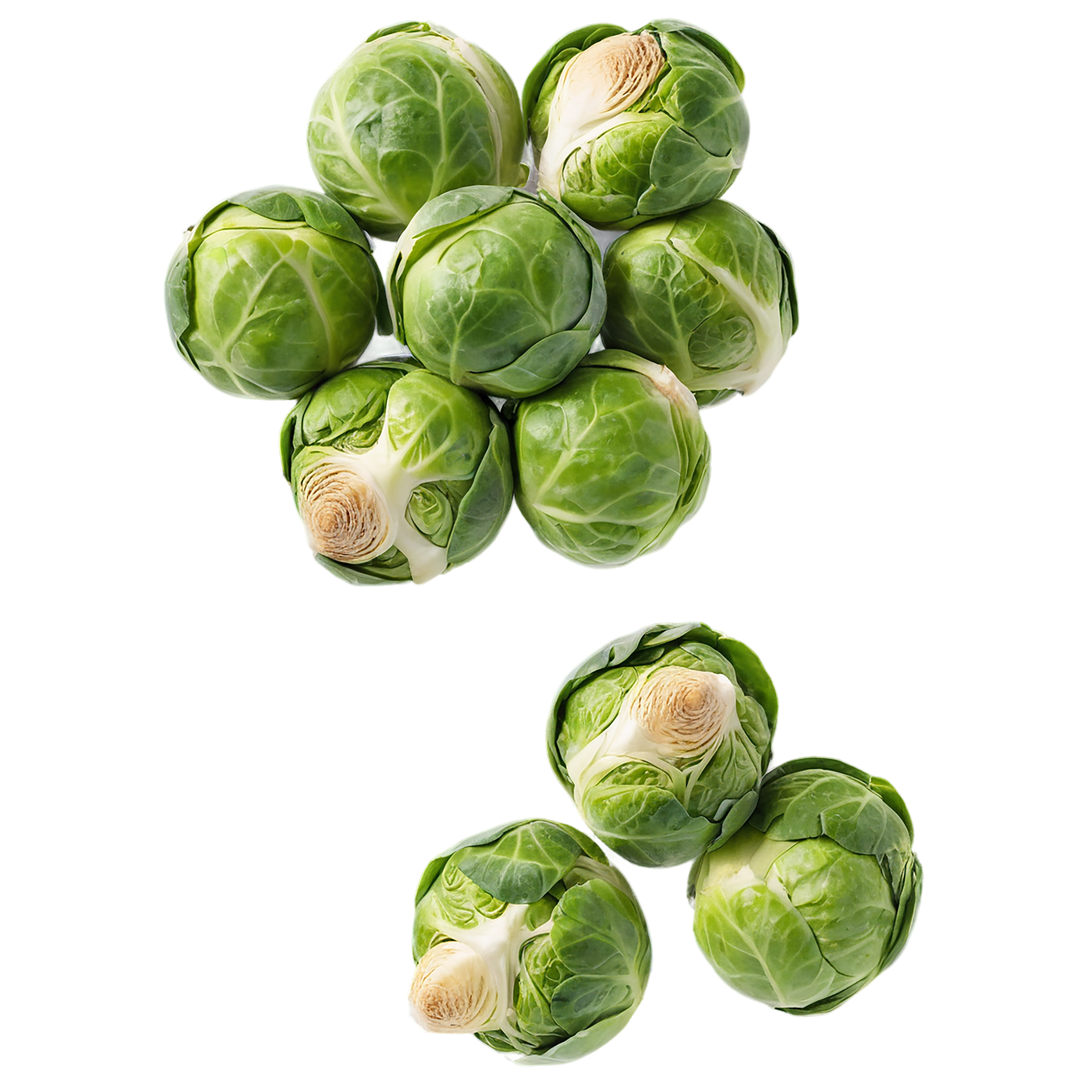Brussels sprouts vegetables isolated on transparent background #10835