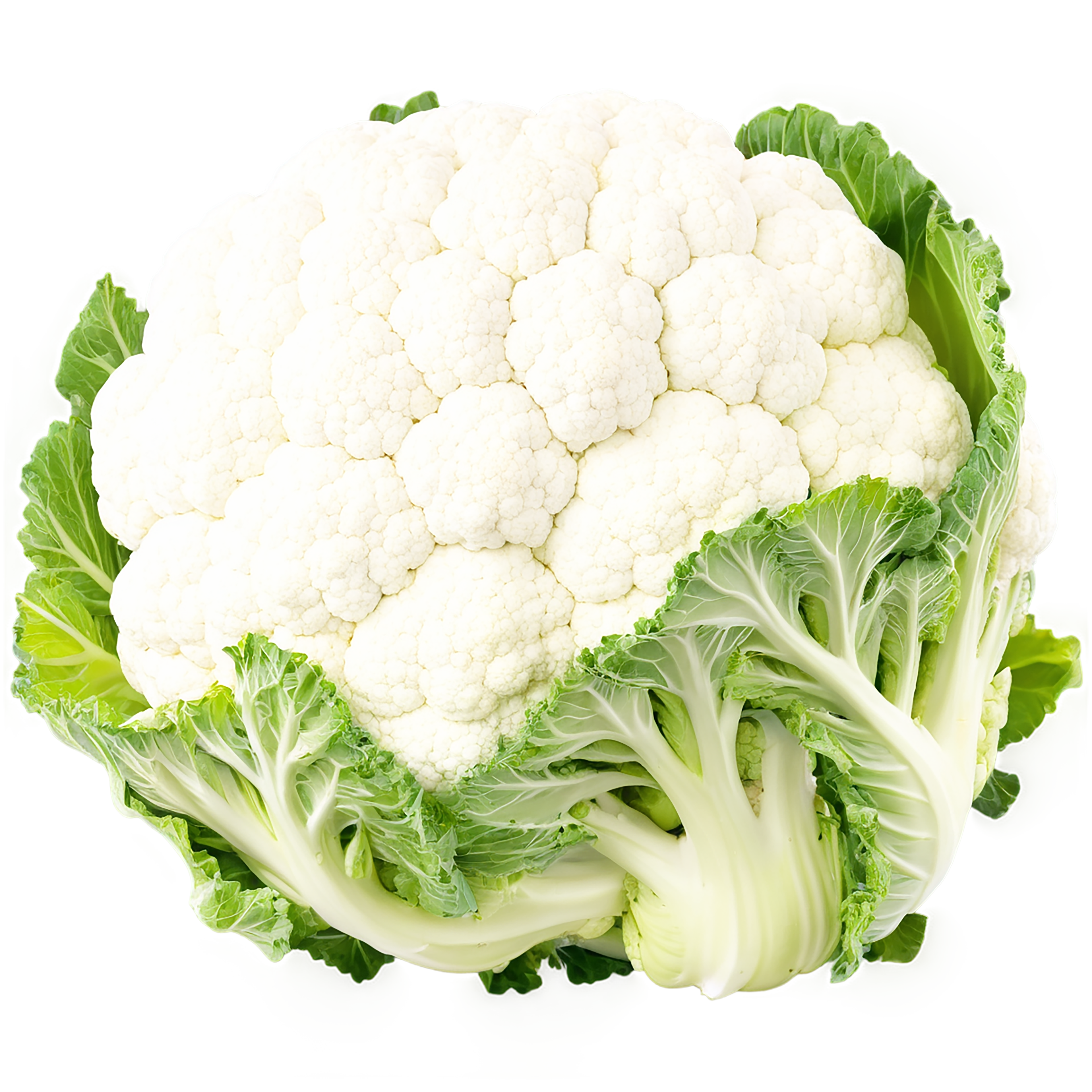 Cauliflower vegetables isolated on transparent background #11010