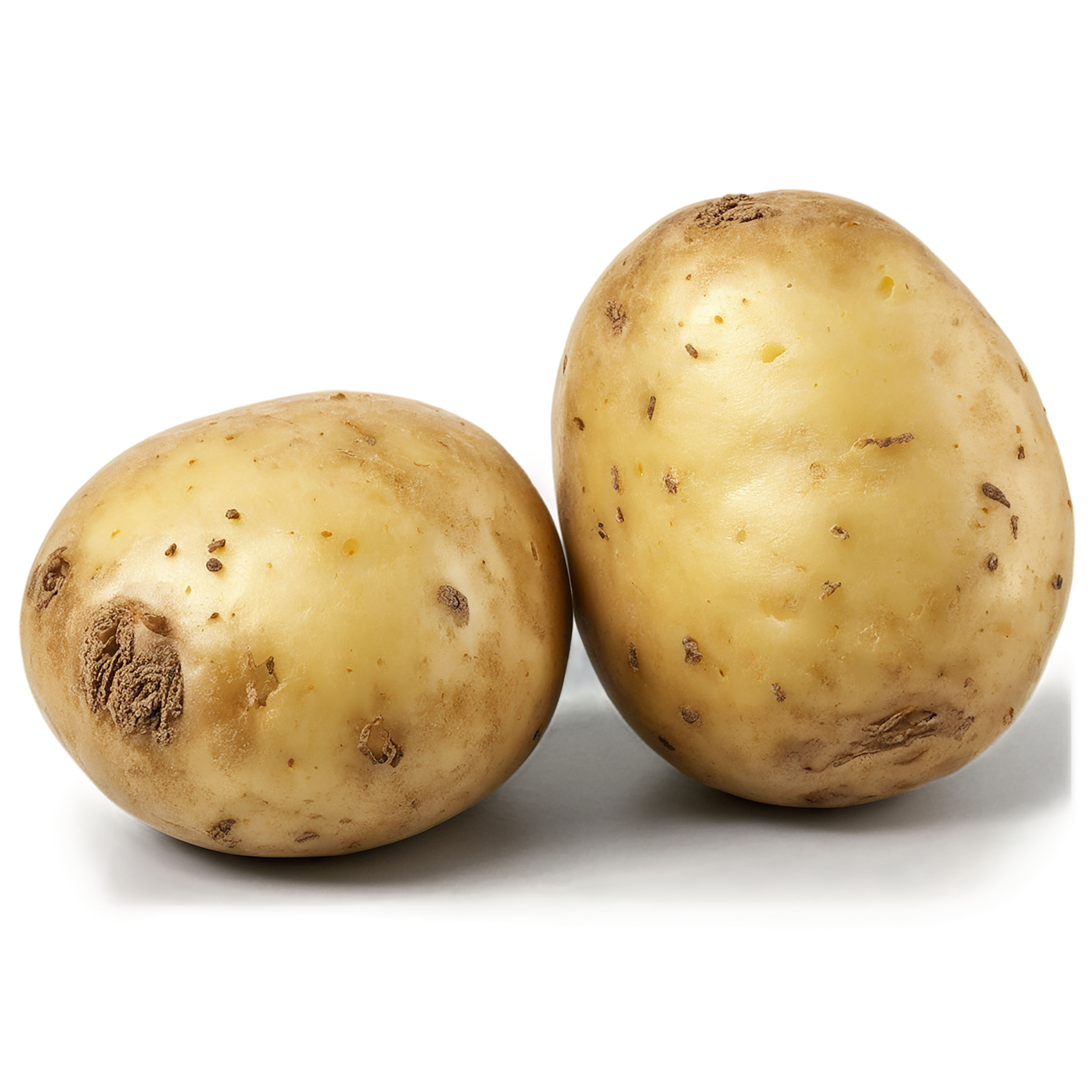 Potato vegetables isolated on transparent background #11971