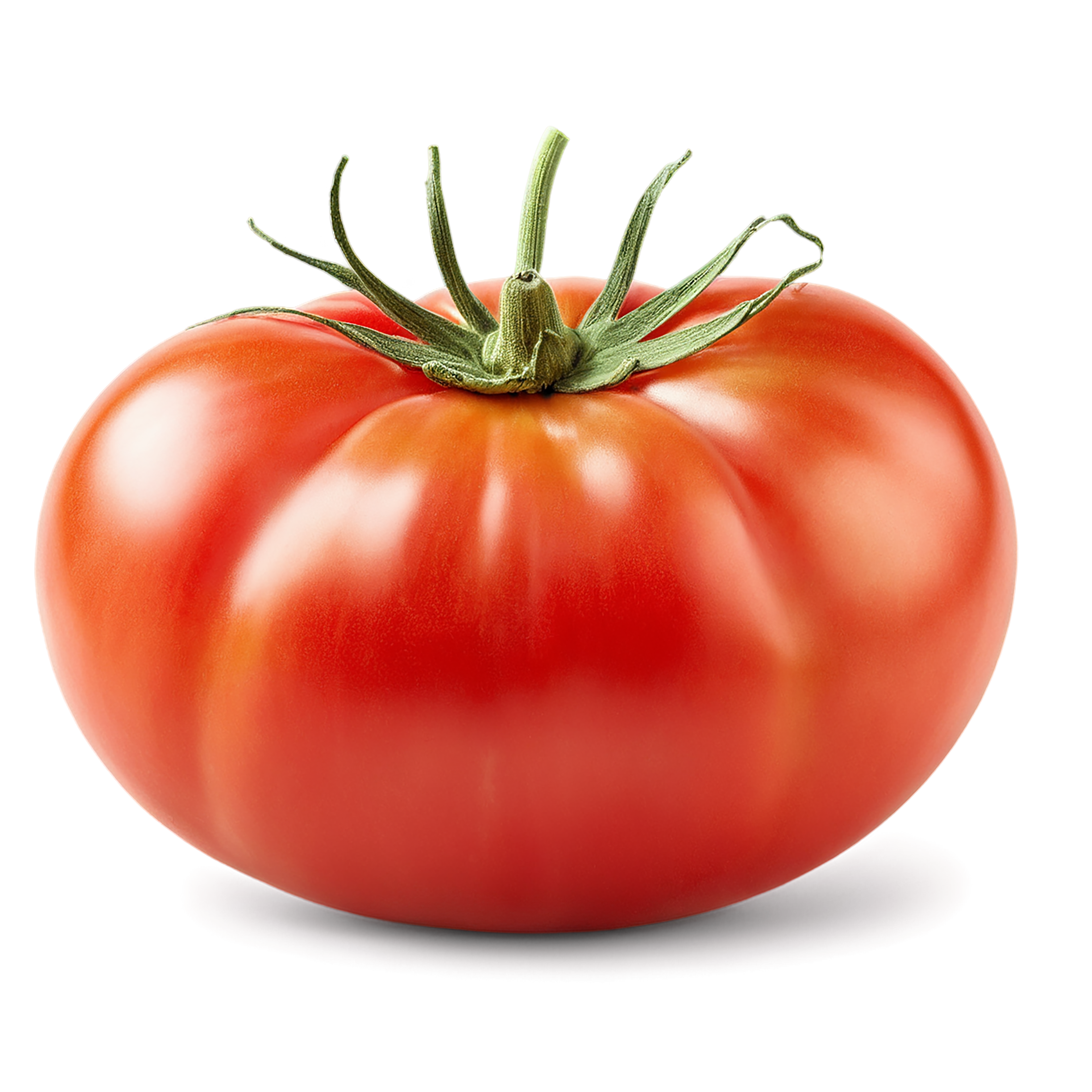 Tomato vegetables isolated on transparent background #12229