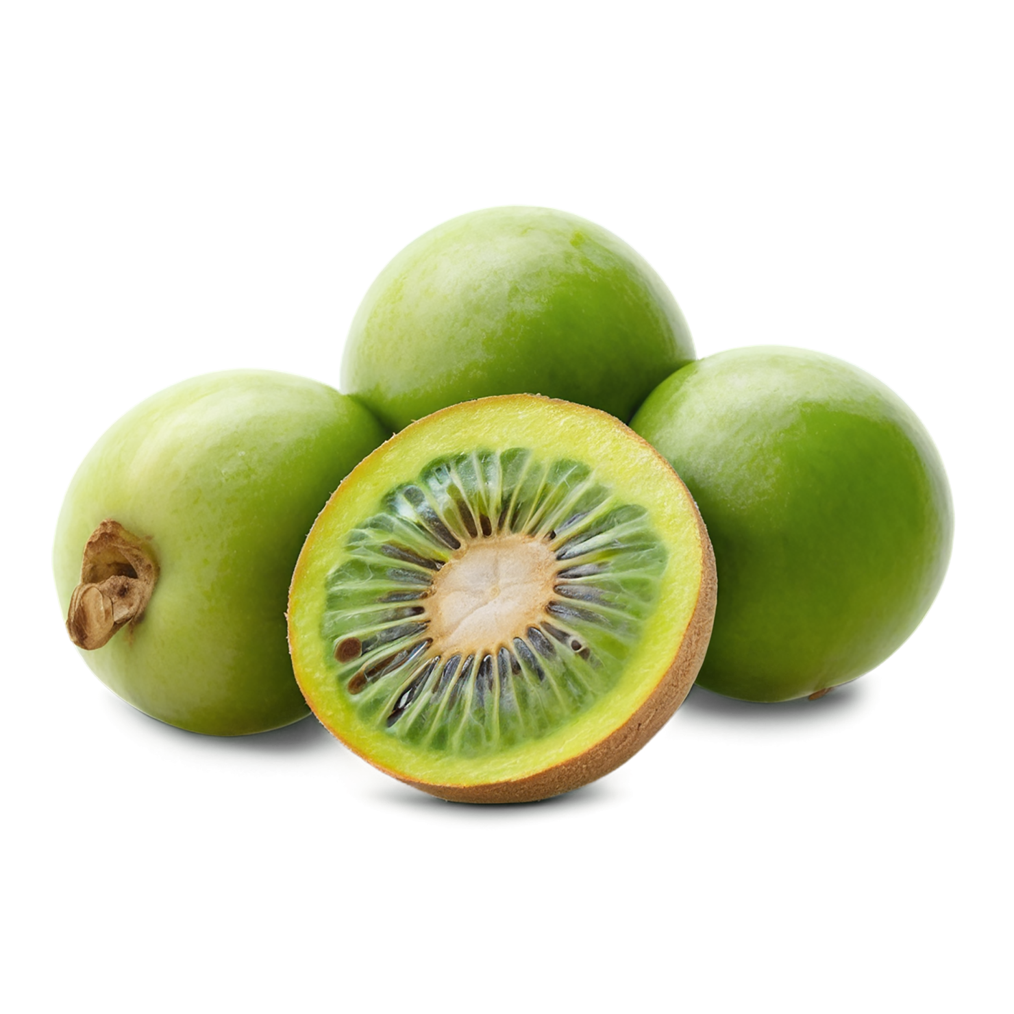 Monk fruit sweeteners isolated on transparent background #10283