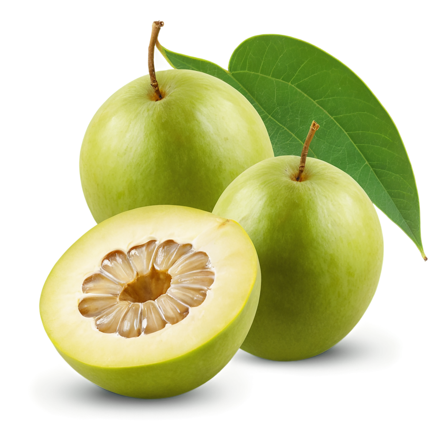 Monk fruit sweeteners isolated on transparent background #10286