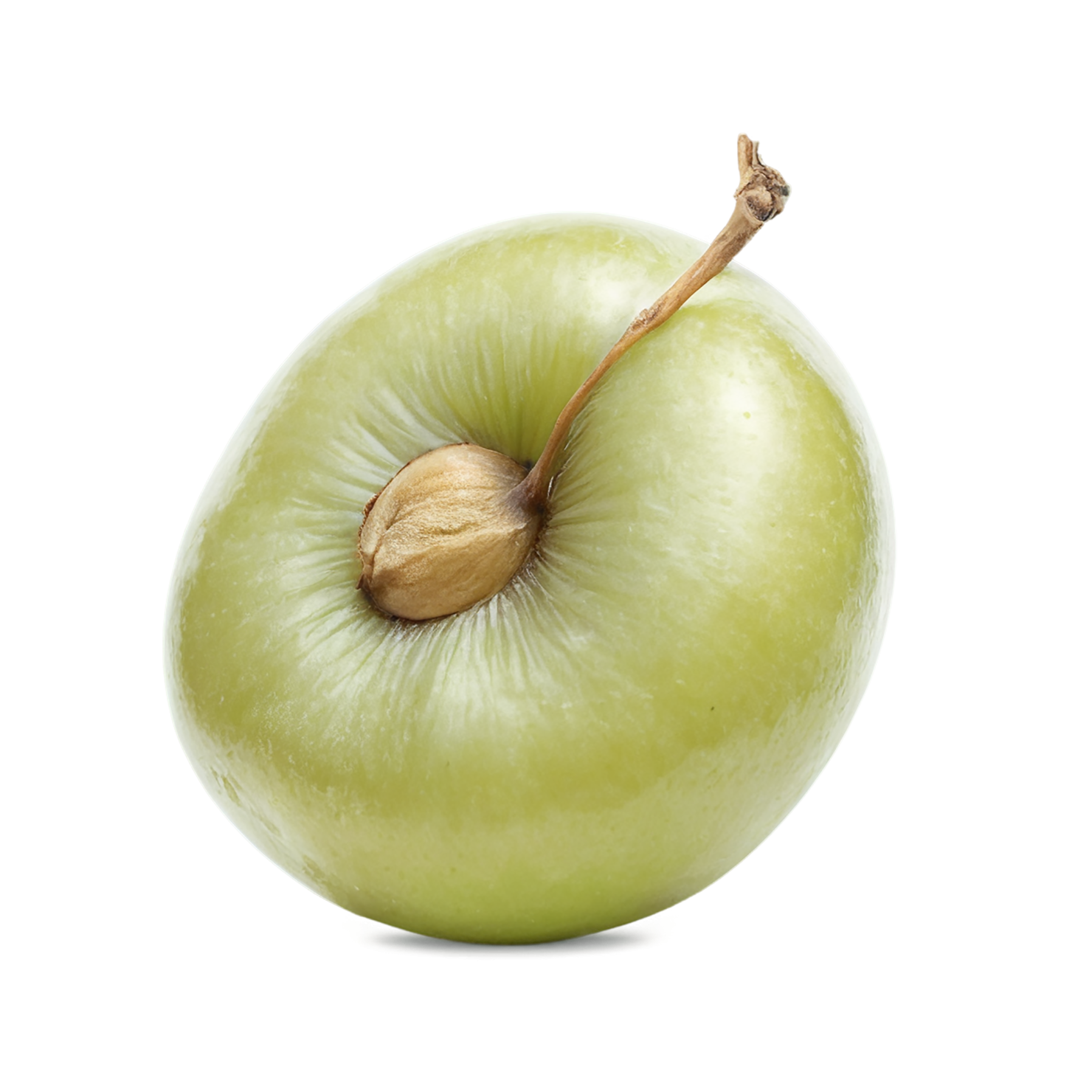 Monk fruit sweeteners isolated on transparent background #10287