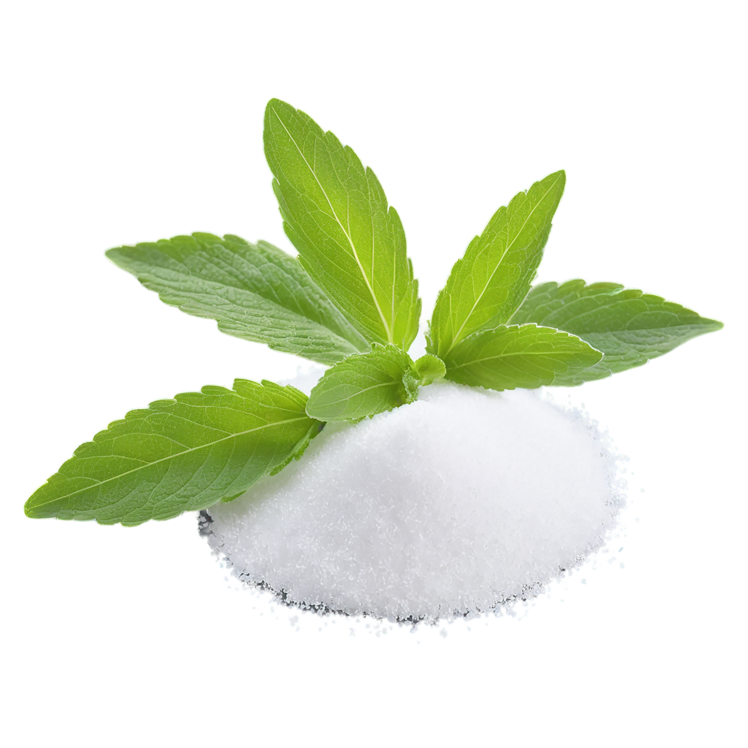 Stevia sweeteners isolated on transparent background #10347