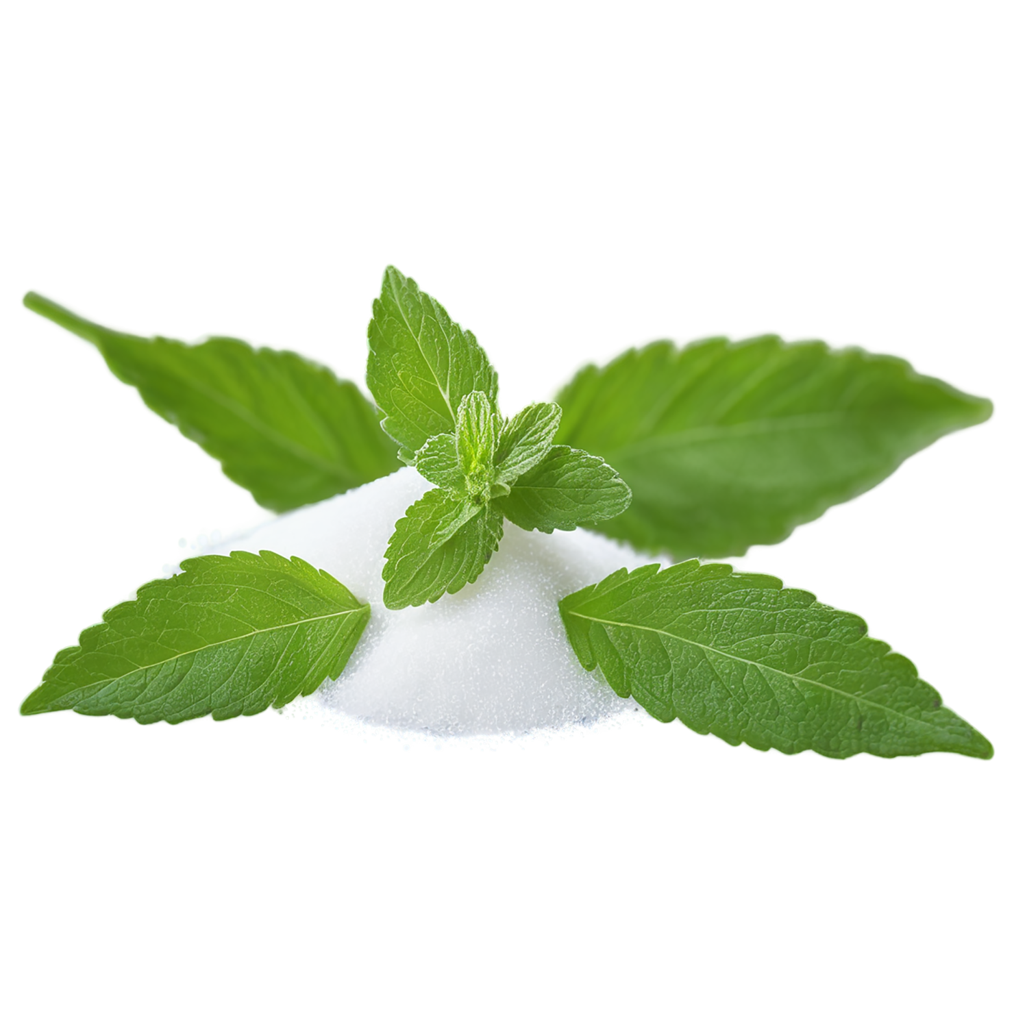 Stevia sweeteners isolated on transparent background #10352