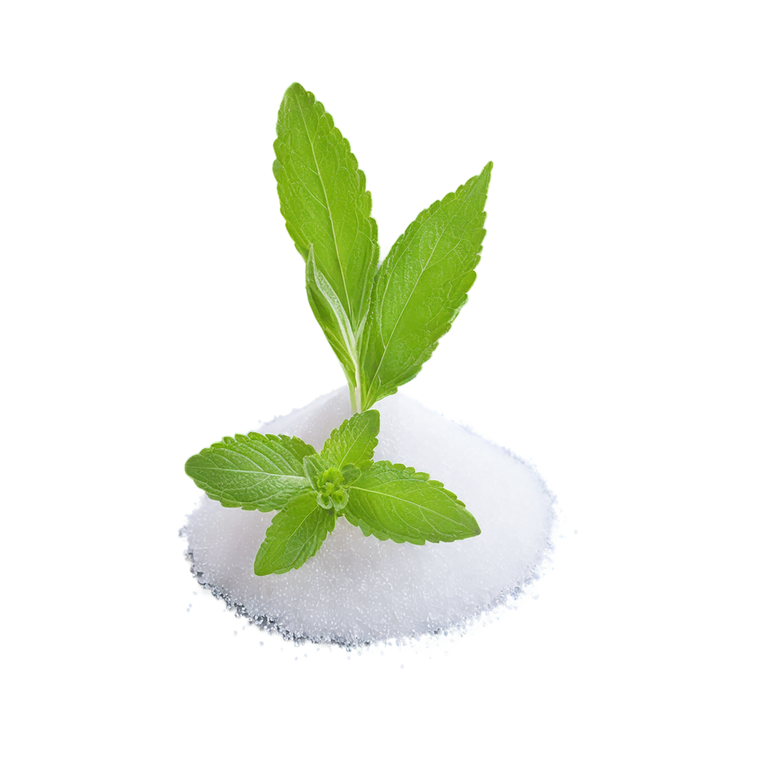 Stevia sweeteners isolated on transparent background #10363
