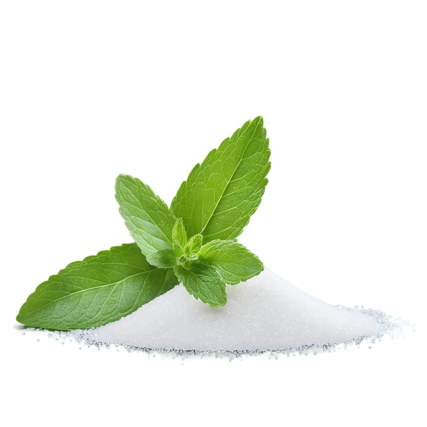 Stevia sweeteners isolated on transparent background #10367