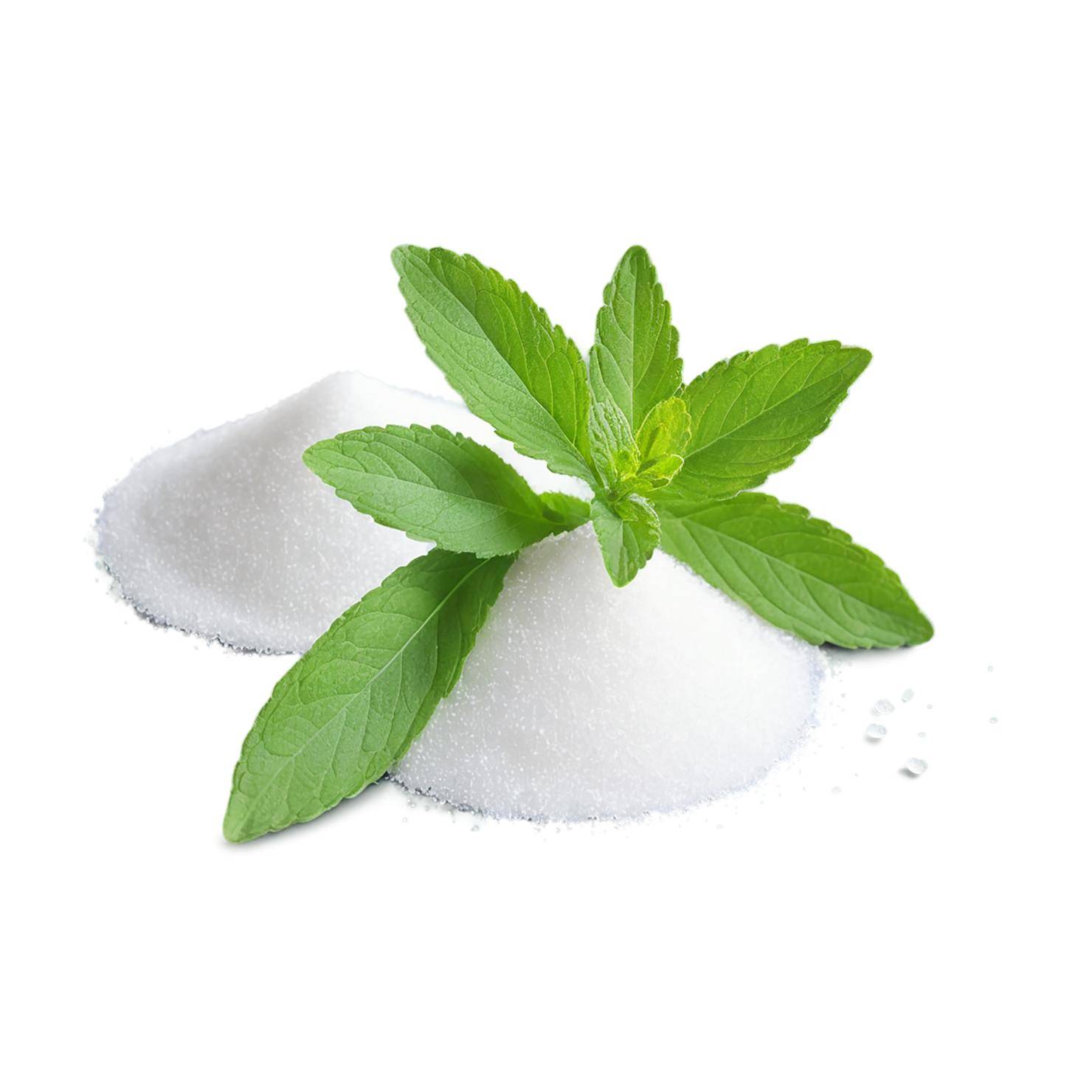 Stevia sweeteners isolated on transparent background #10380