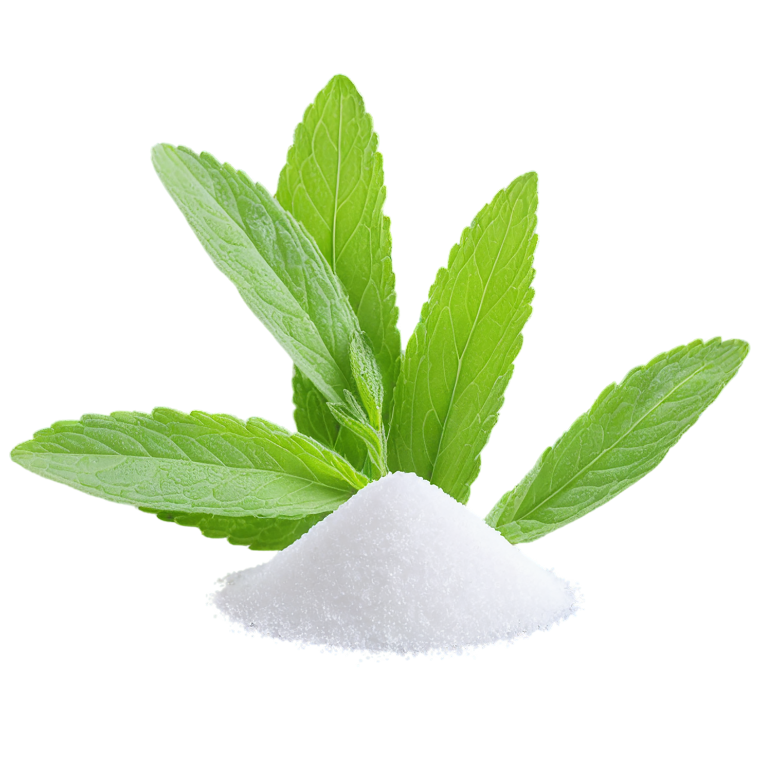 Stevia sweeteners isolated on transparent background #10382