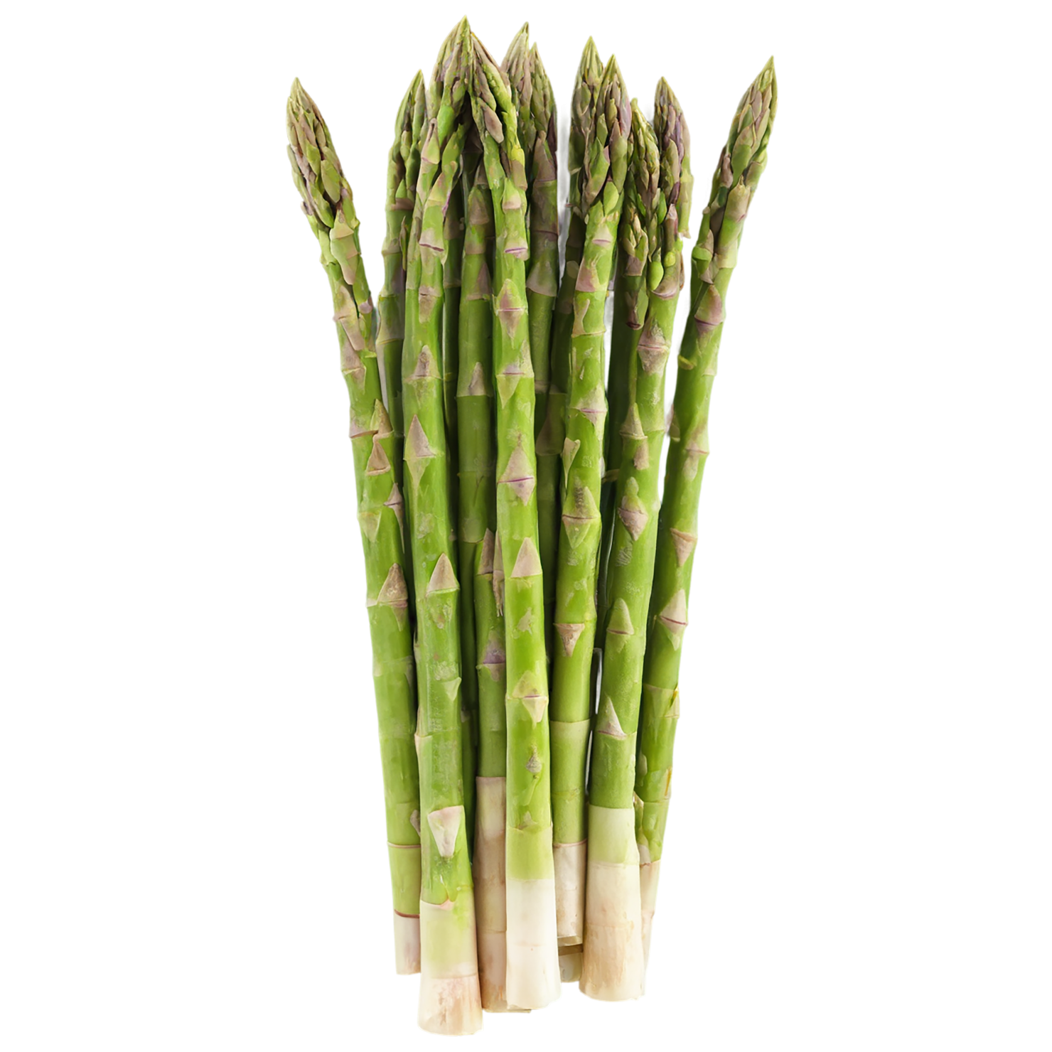 Asparagus vegetables isolated on transparent background #10468