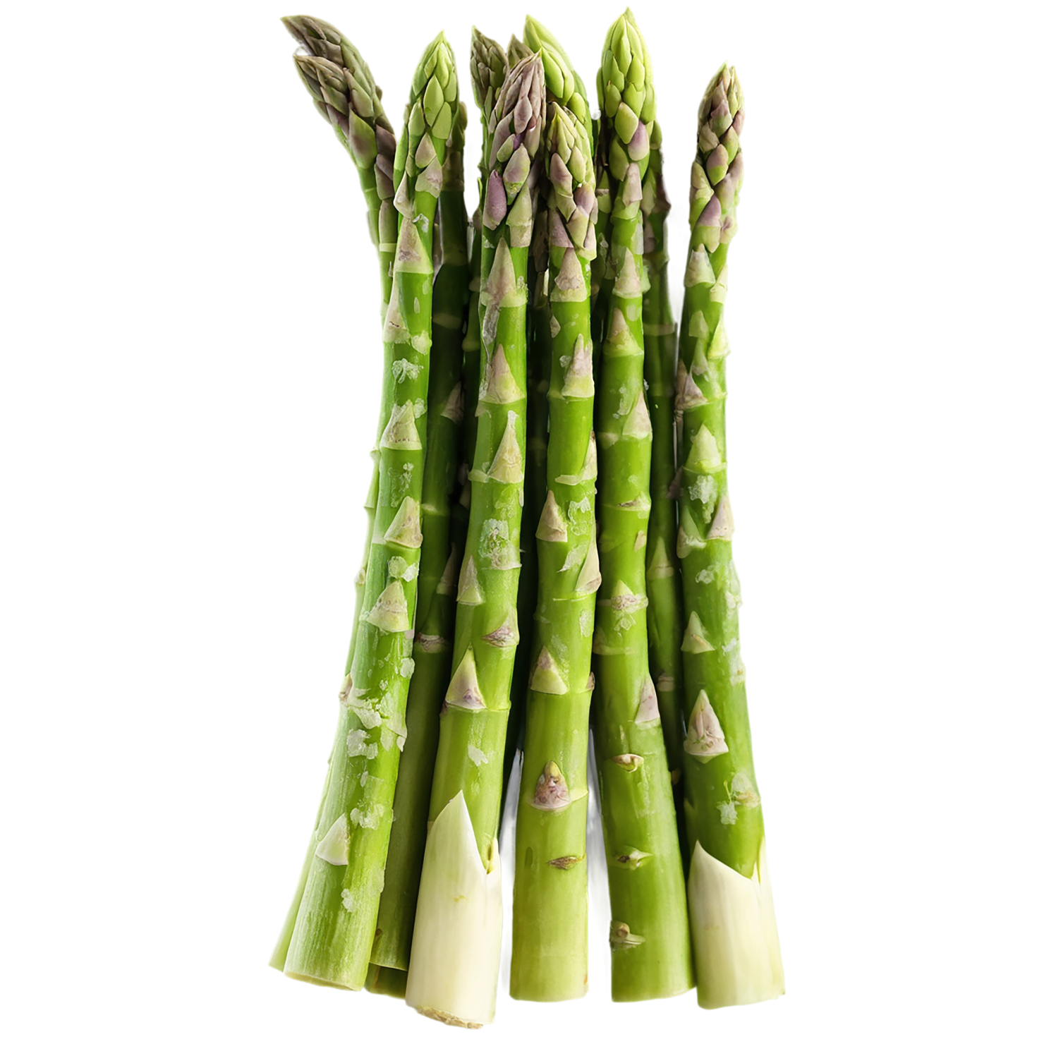 Asparagus vegetables isolated on transparent background #10471