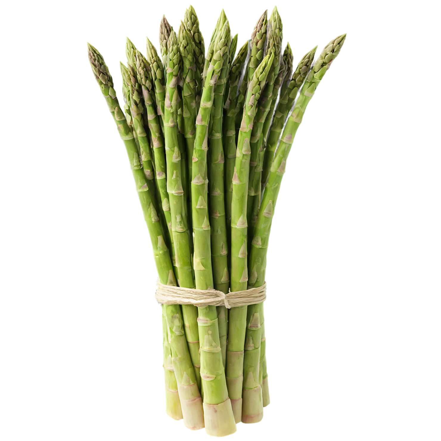 Asparagus vegetables isolated on transparent background #10472