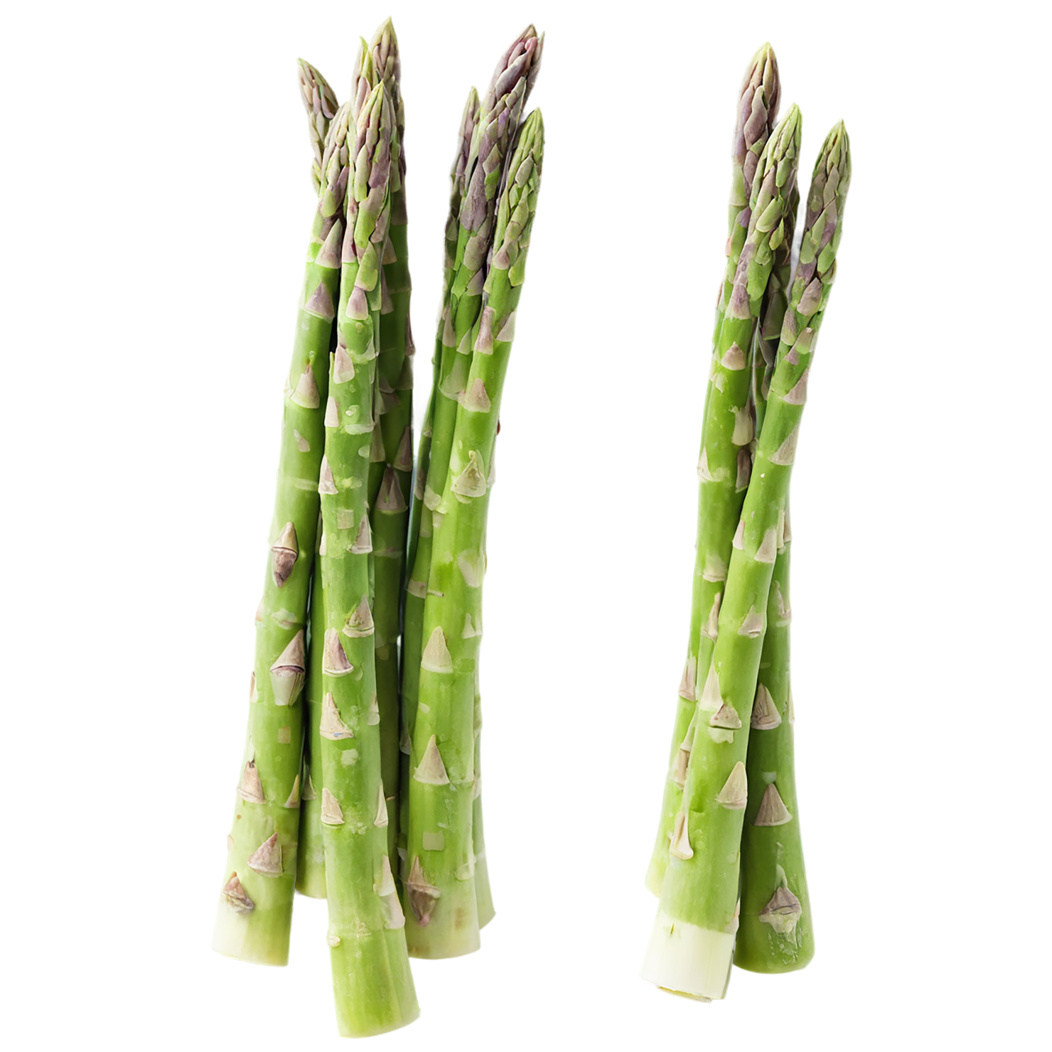 Asparagus vegetables isolated on transparent background #10475