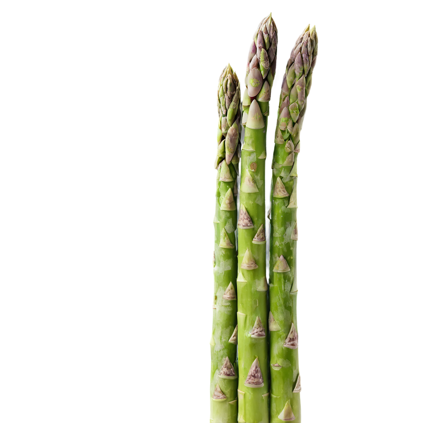 Asparagus vegetables isolated on transparent background #10476