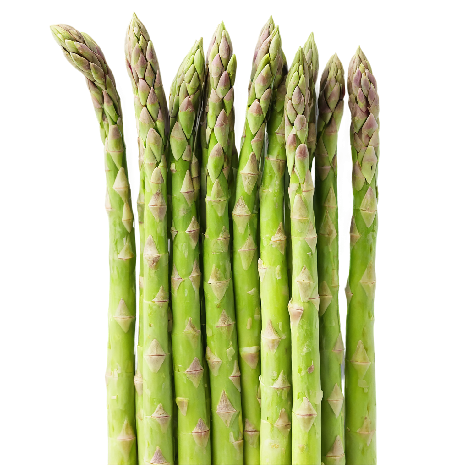 Asparagus vegetables isolated on transparent background #10477