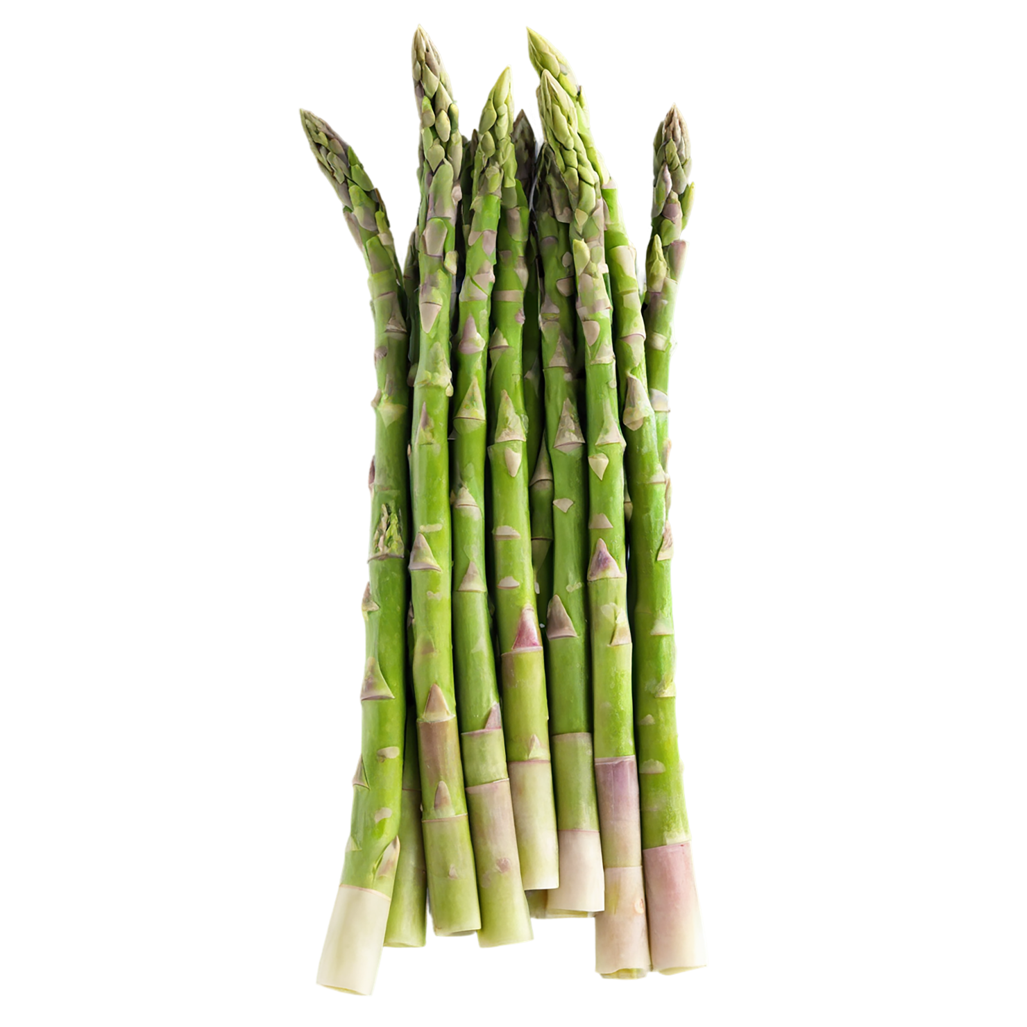 Asparagus vegetables isolated on transparent background #10479