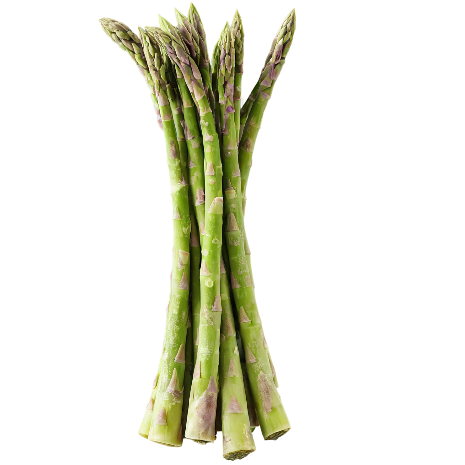 Asparagus vegetables isolated on transparent background #10481