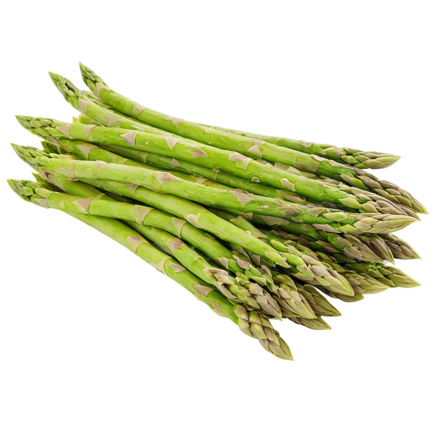Asparagus vegetables isolated on transparent background #10484